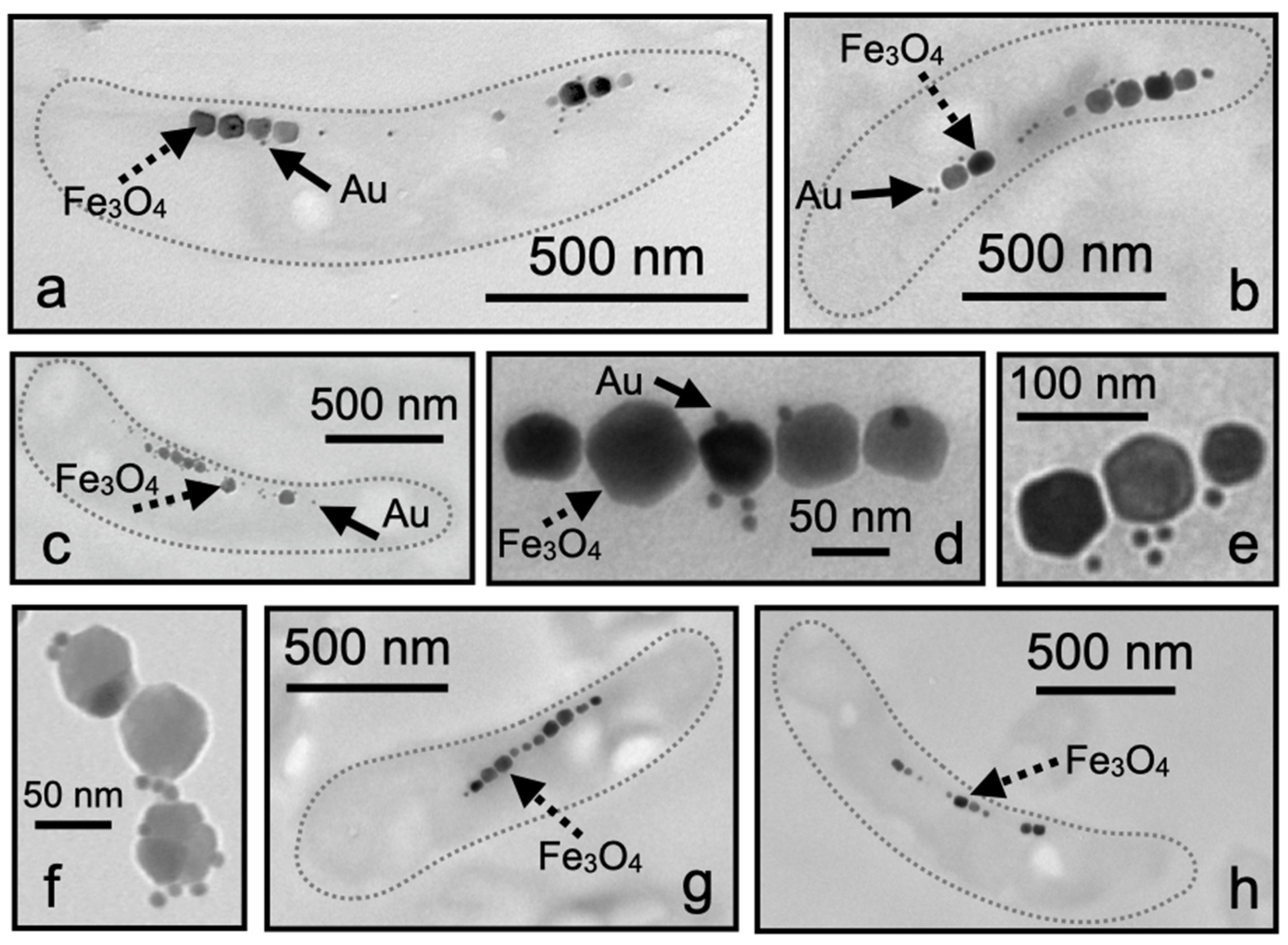 Crystals 11 00874 g003