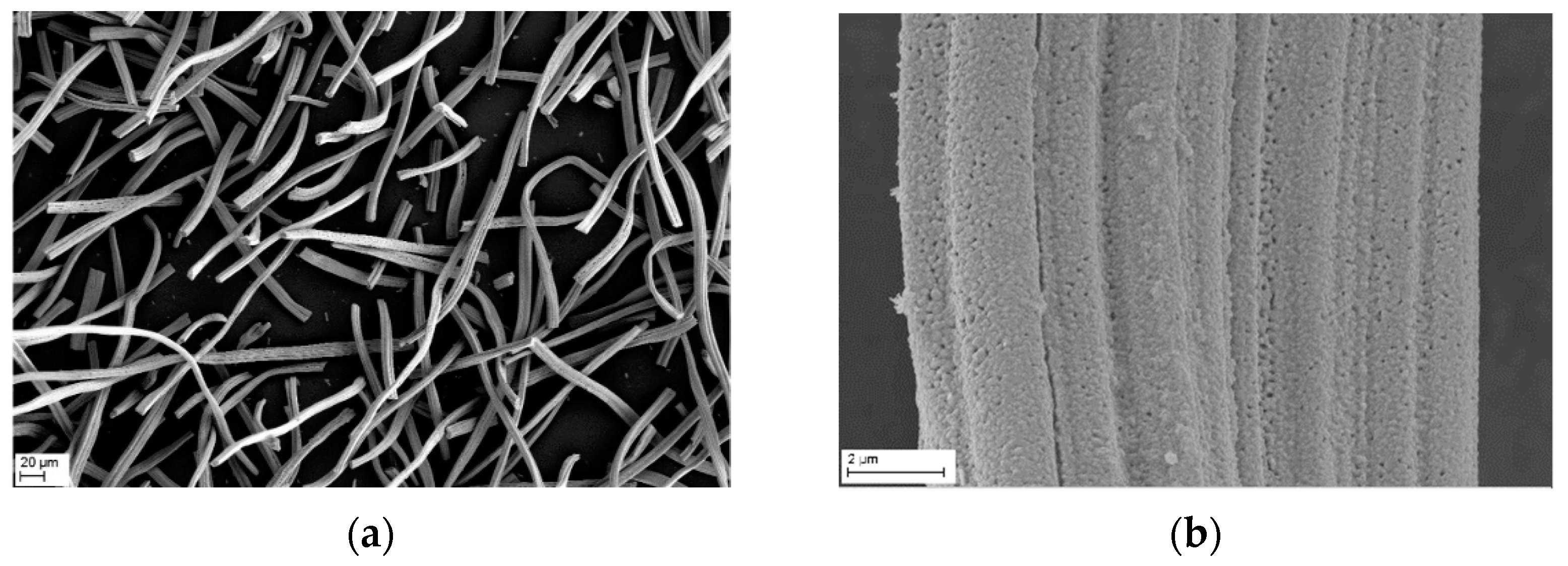 Crystals 11 00885 g002 Crystals 11 00885 g002