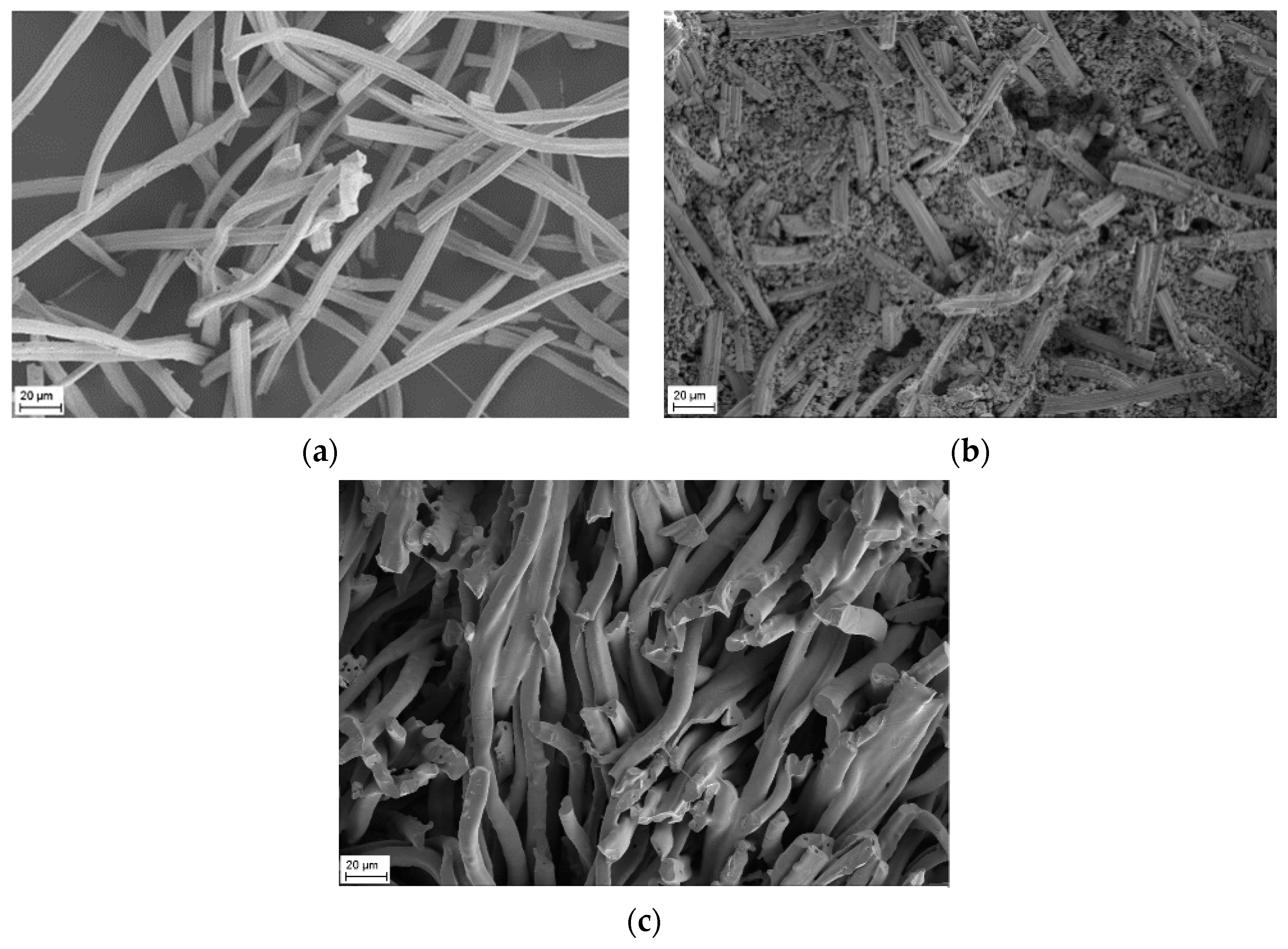 Crystals 11 00885 g003 Crystals 11 00885 g003