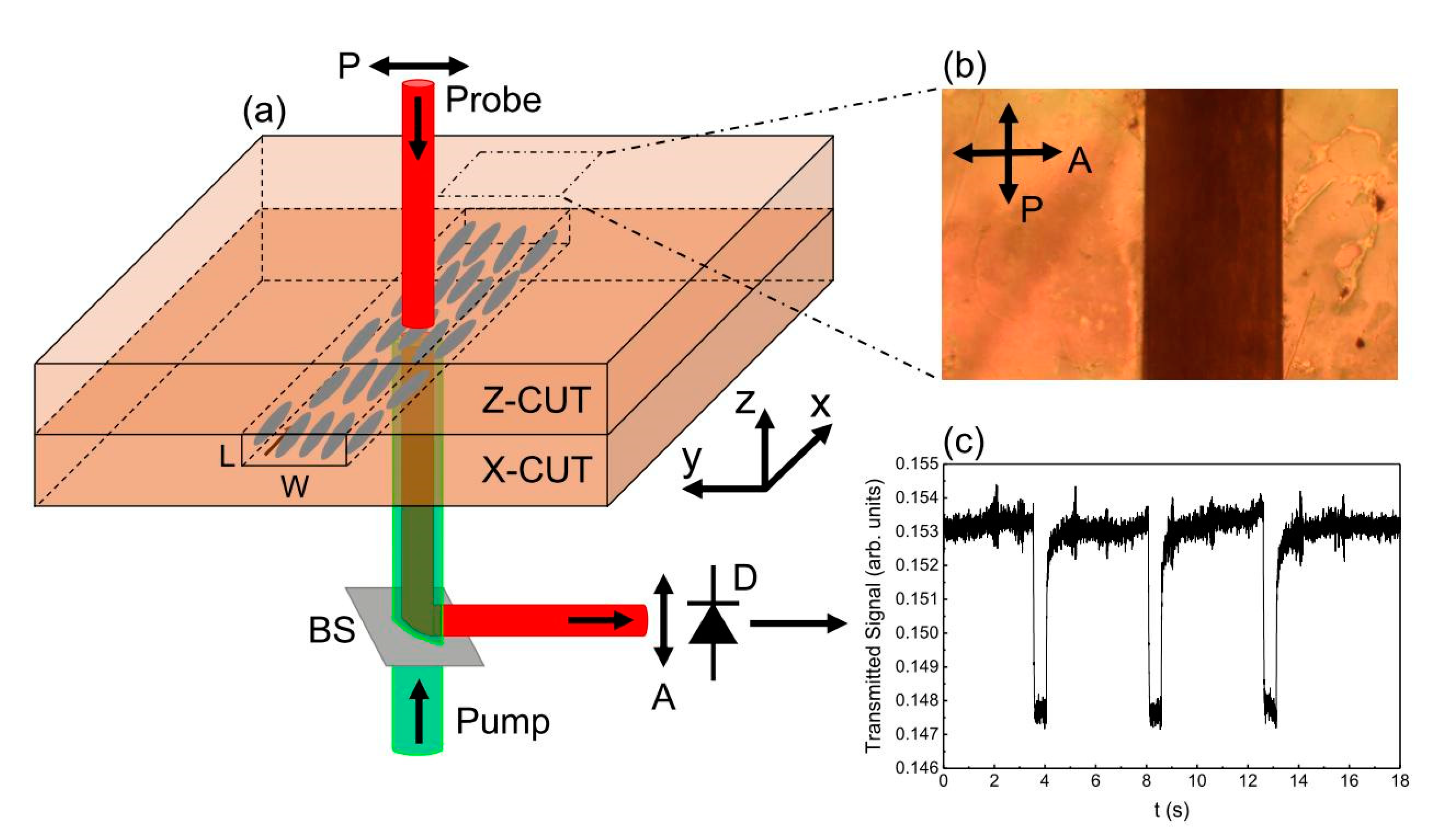 Crystals 11 00908 g001
