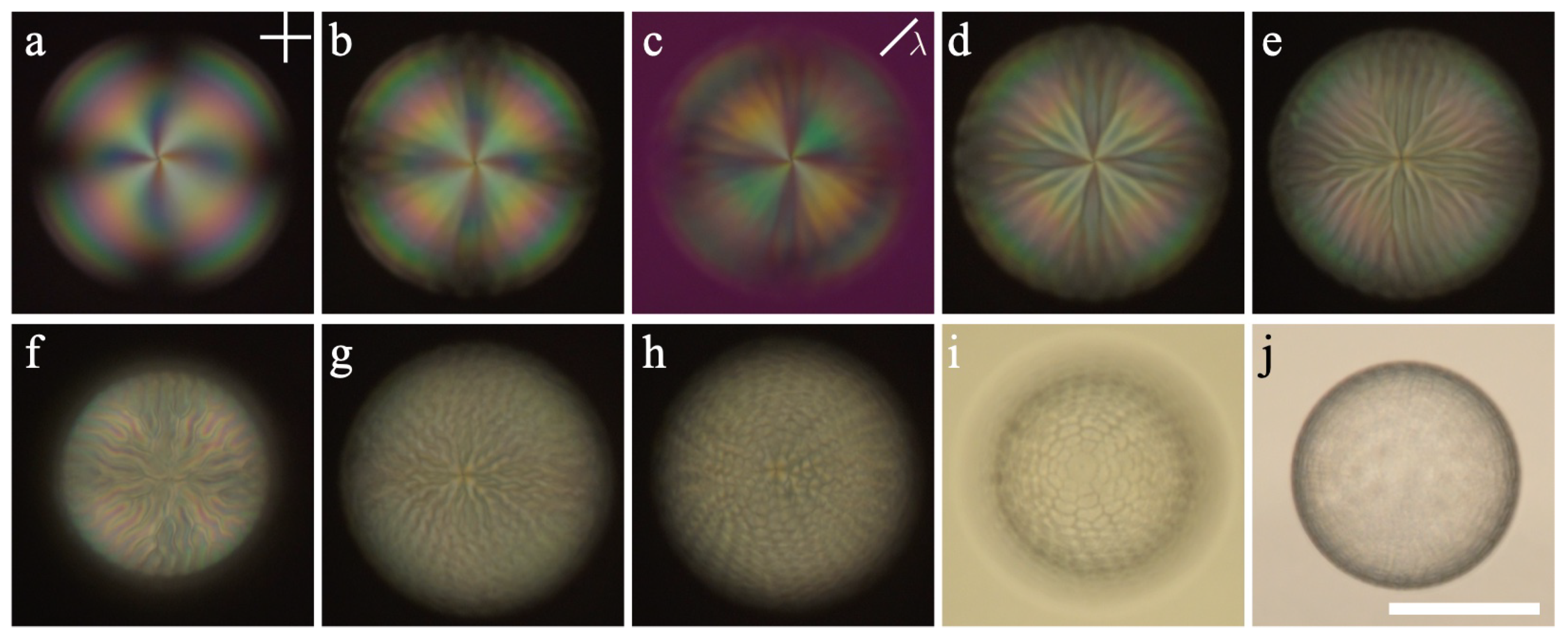 Crystals 11 00913 g002