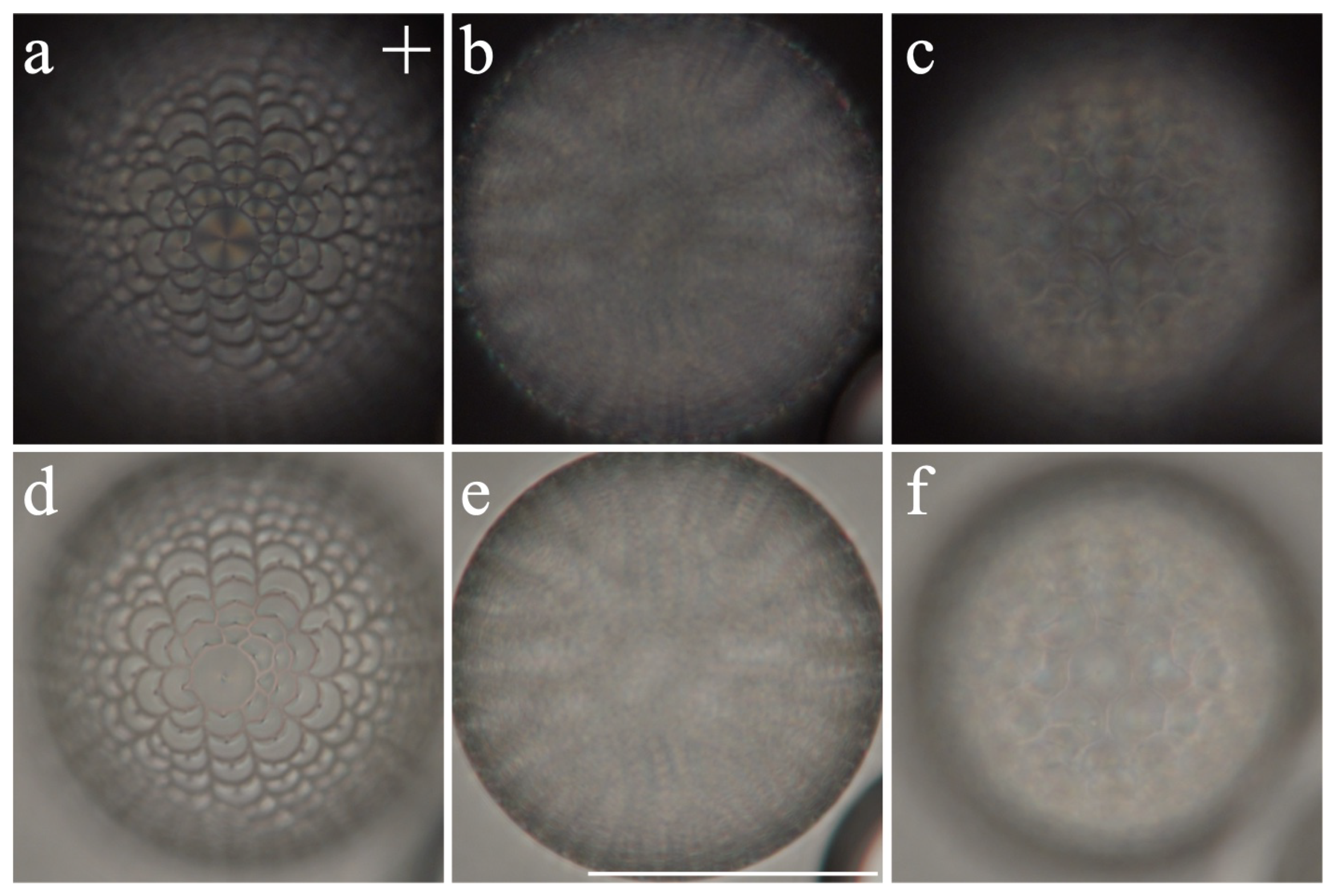 Crystals 11 00913 g003