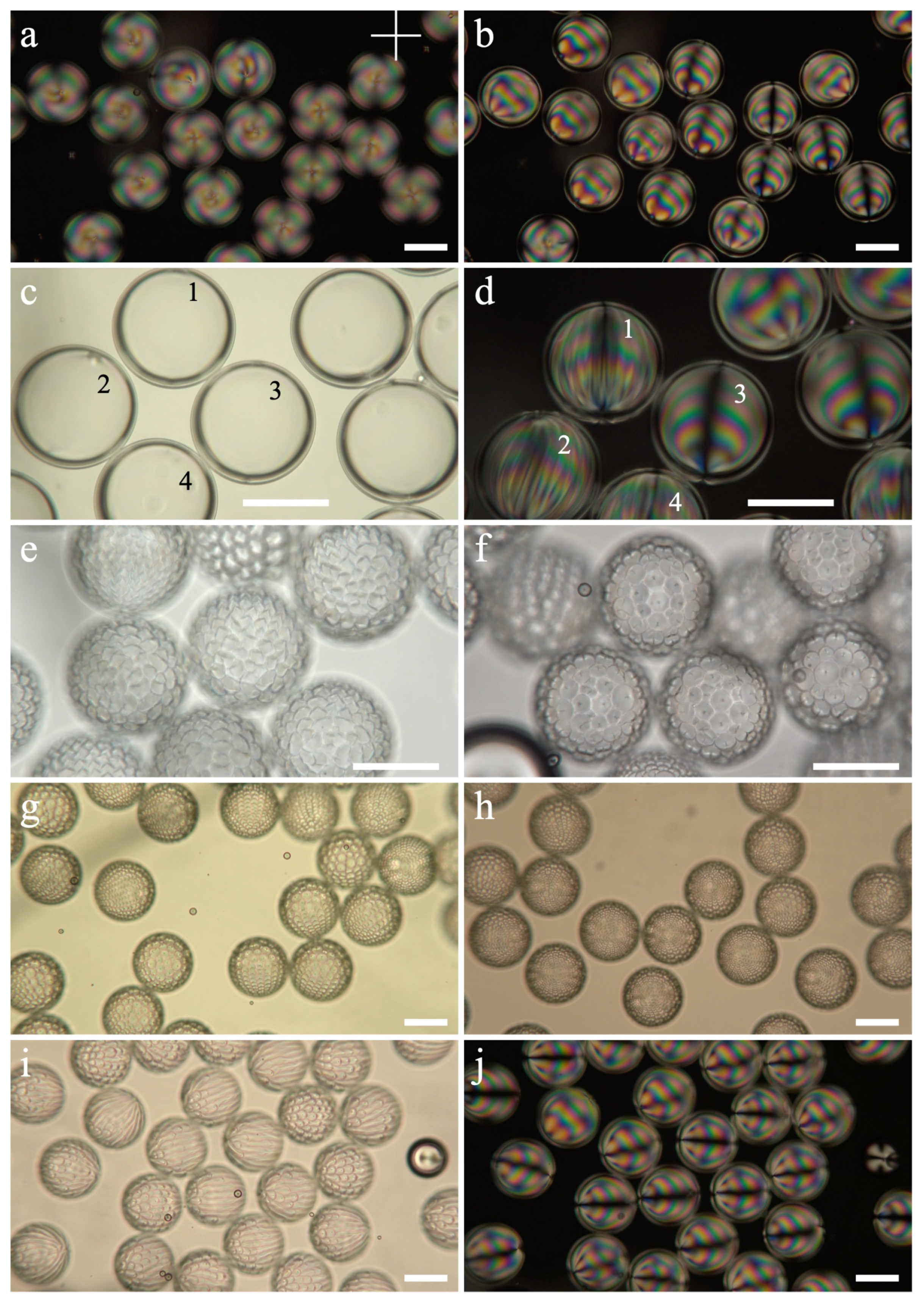 Crystals 11 00913 g004