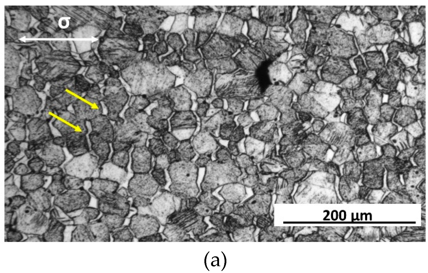 Crystals 11 00918 g012a Crystals 11 00918 g012a