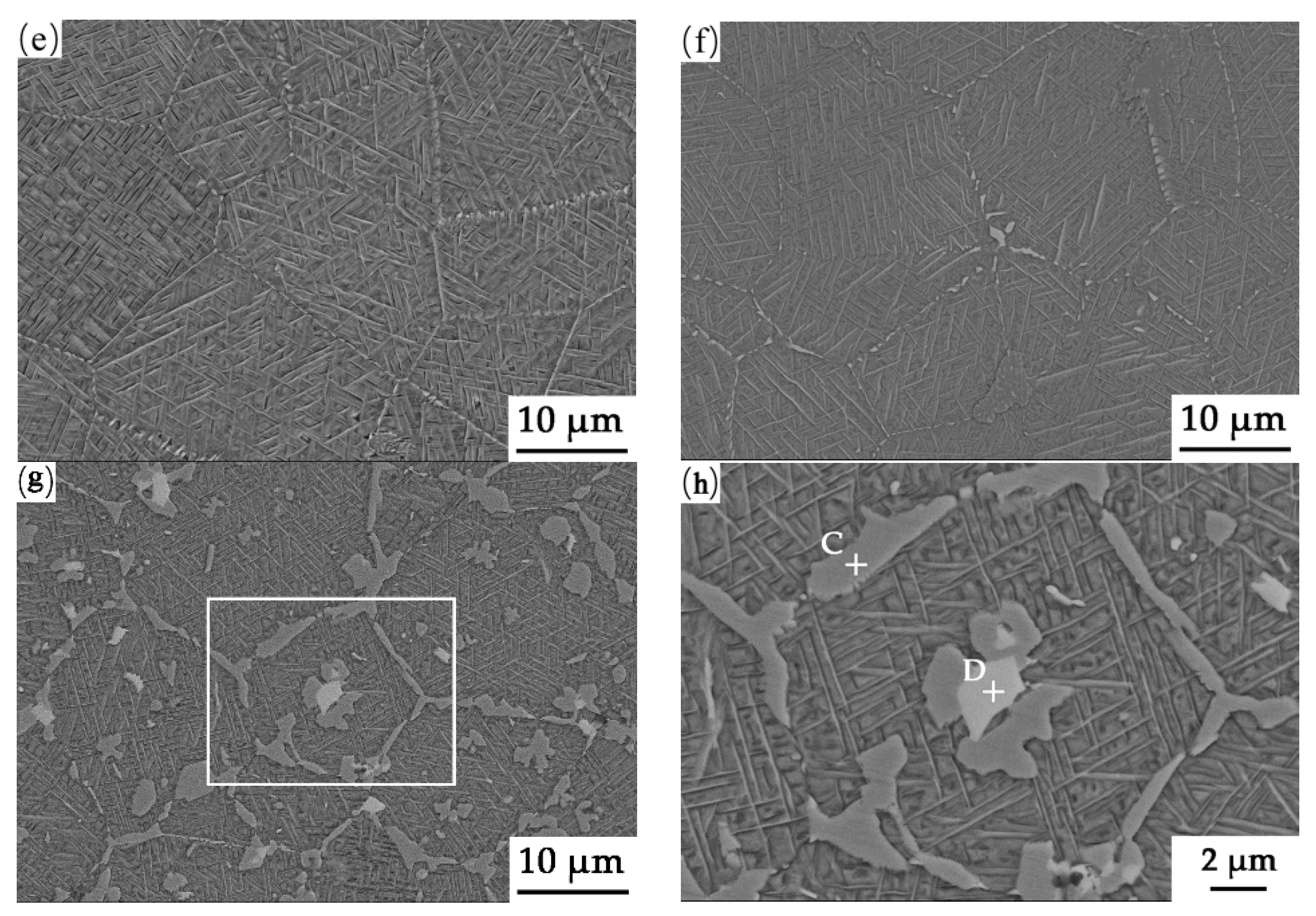 Crystals 11 00929 g005b Crystals 11 00929 g005b