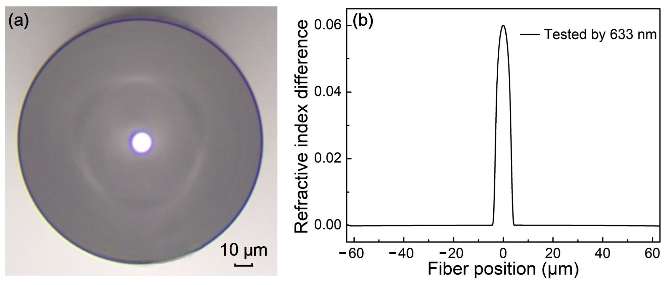 Crystals 11 00946 g002