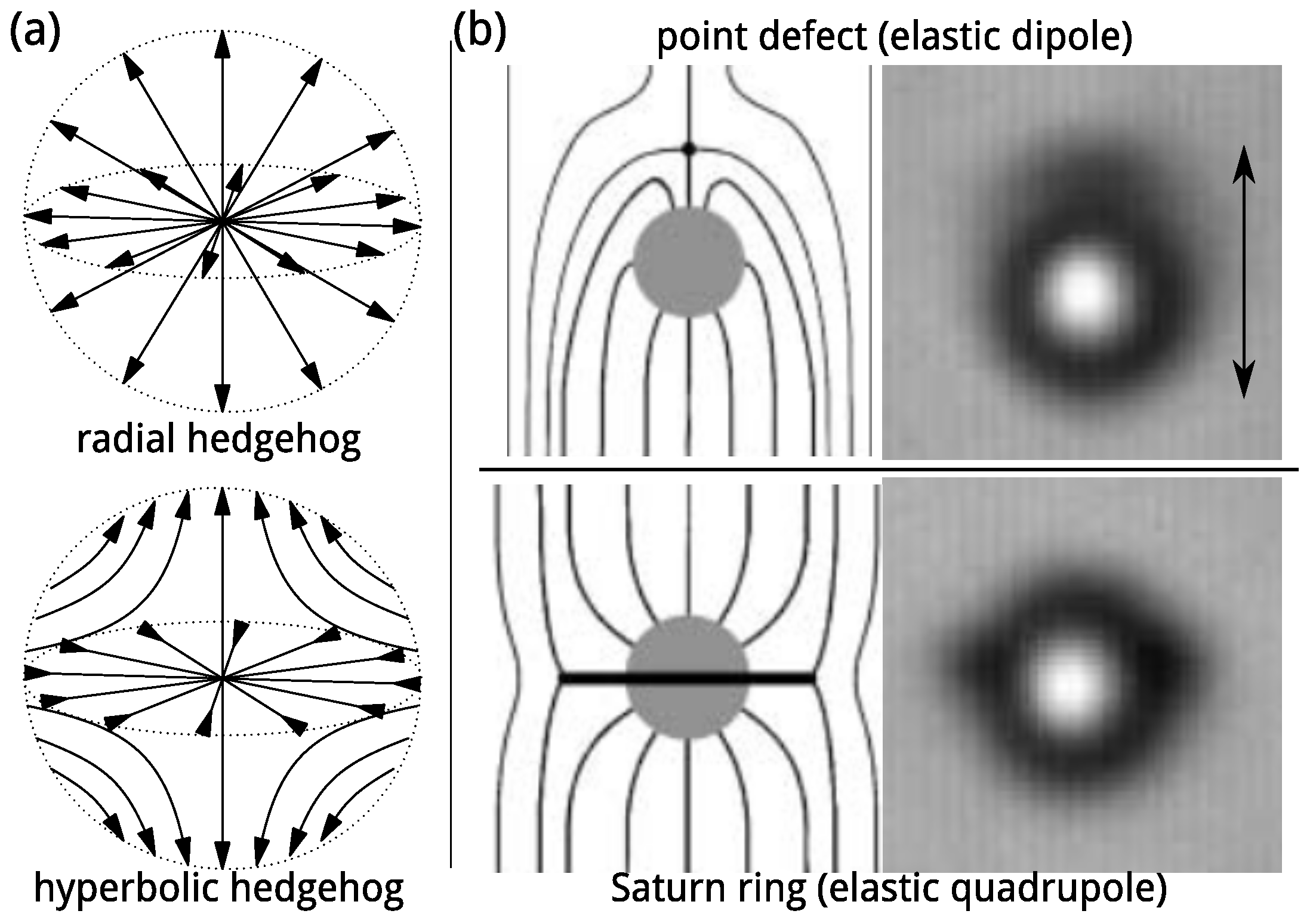 Crystals 11 00956 g002
