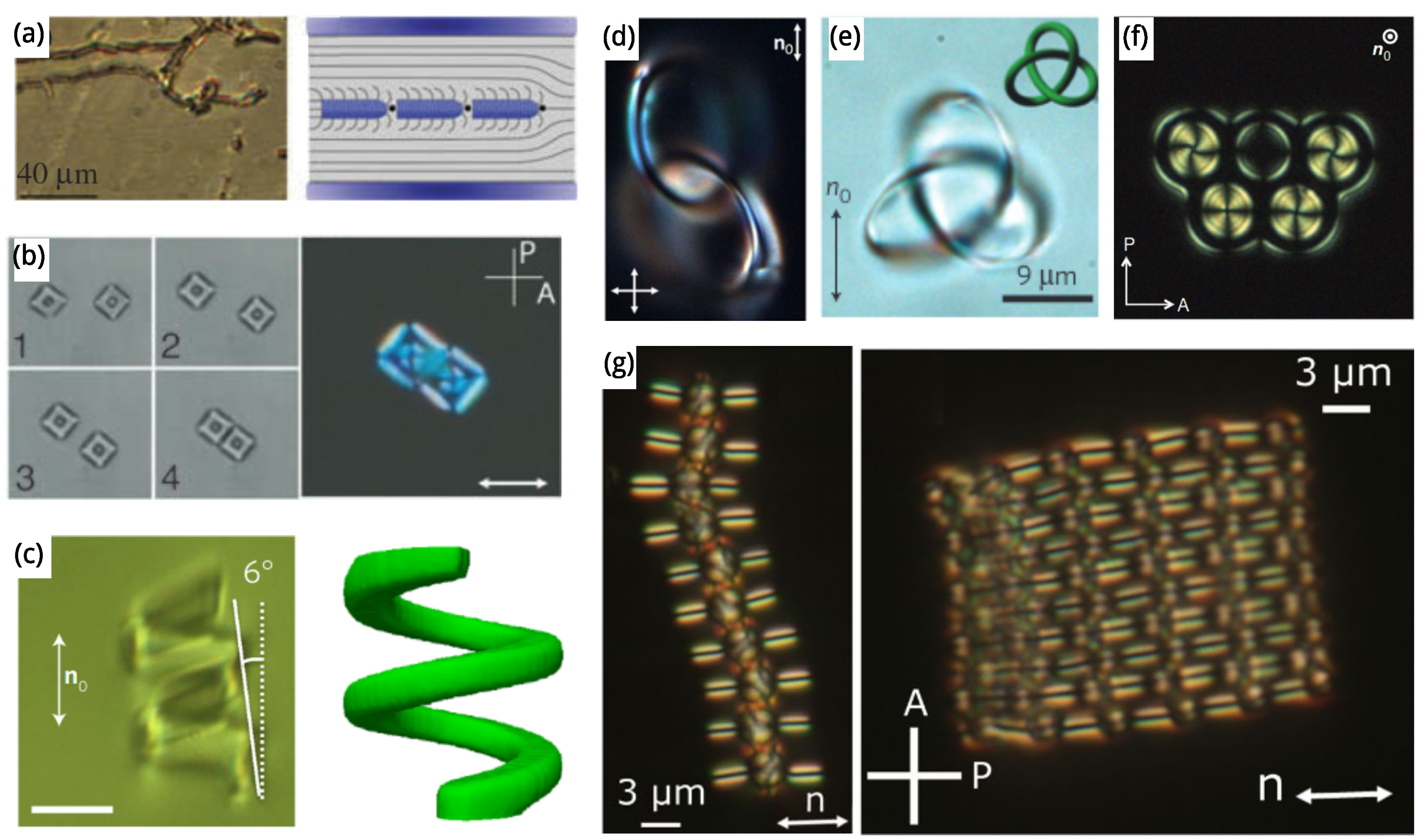 Crystals 11 00956 g006