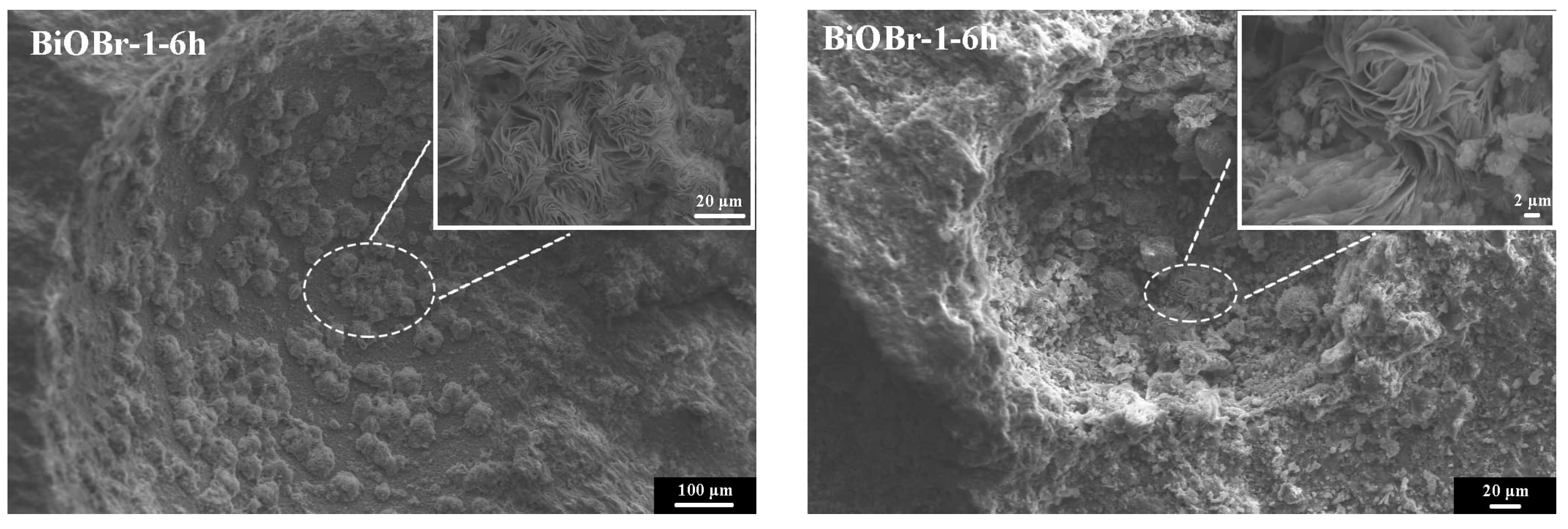 Crystals 11 00969 g007