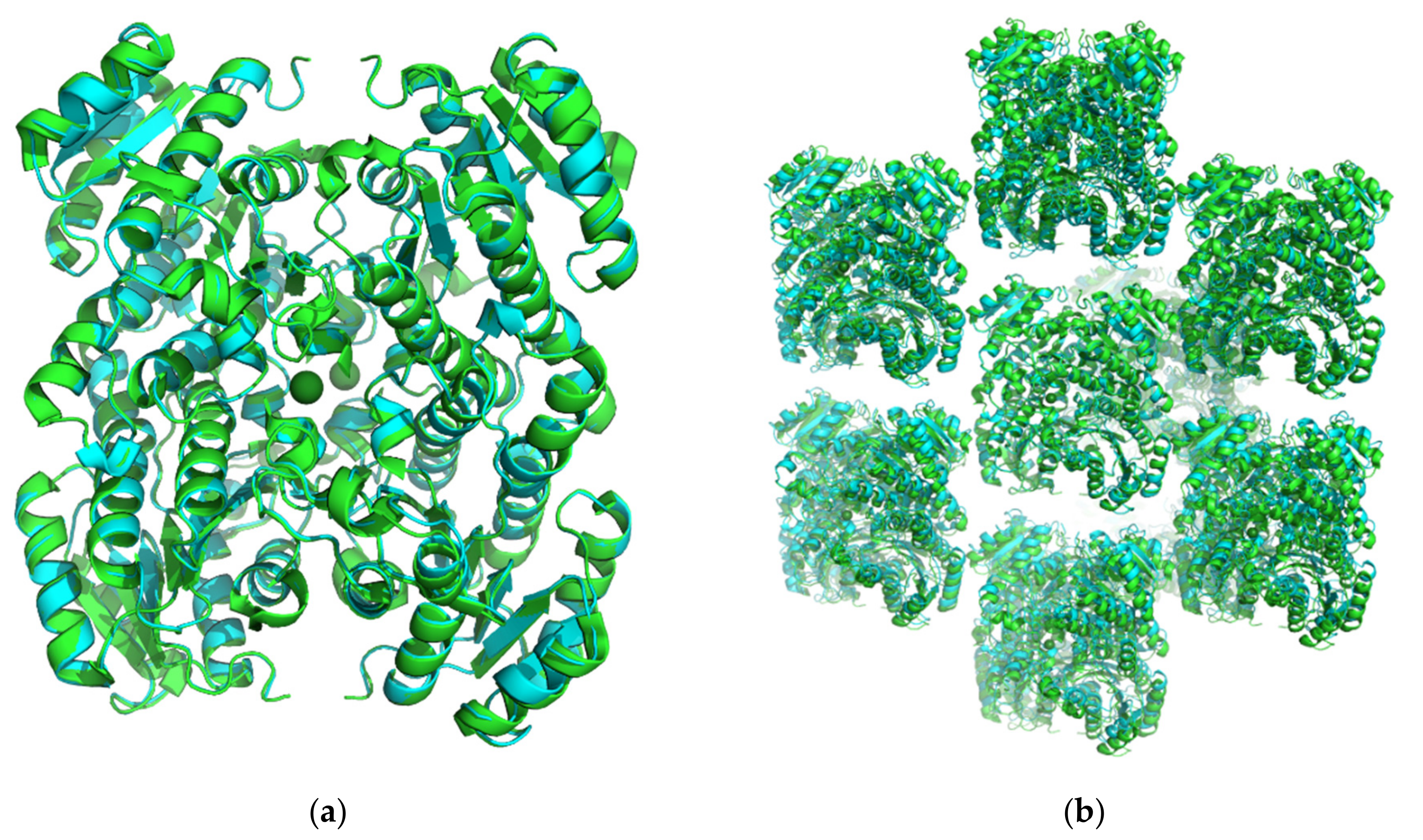 Crystals 11 00975 g001