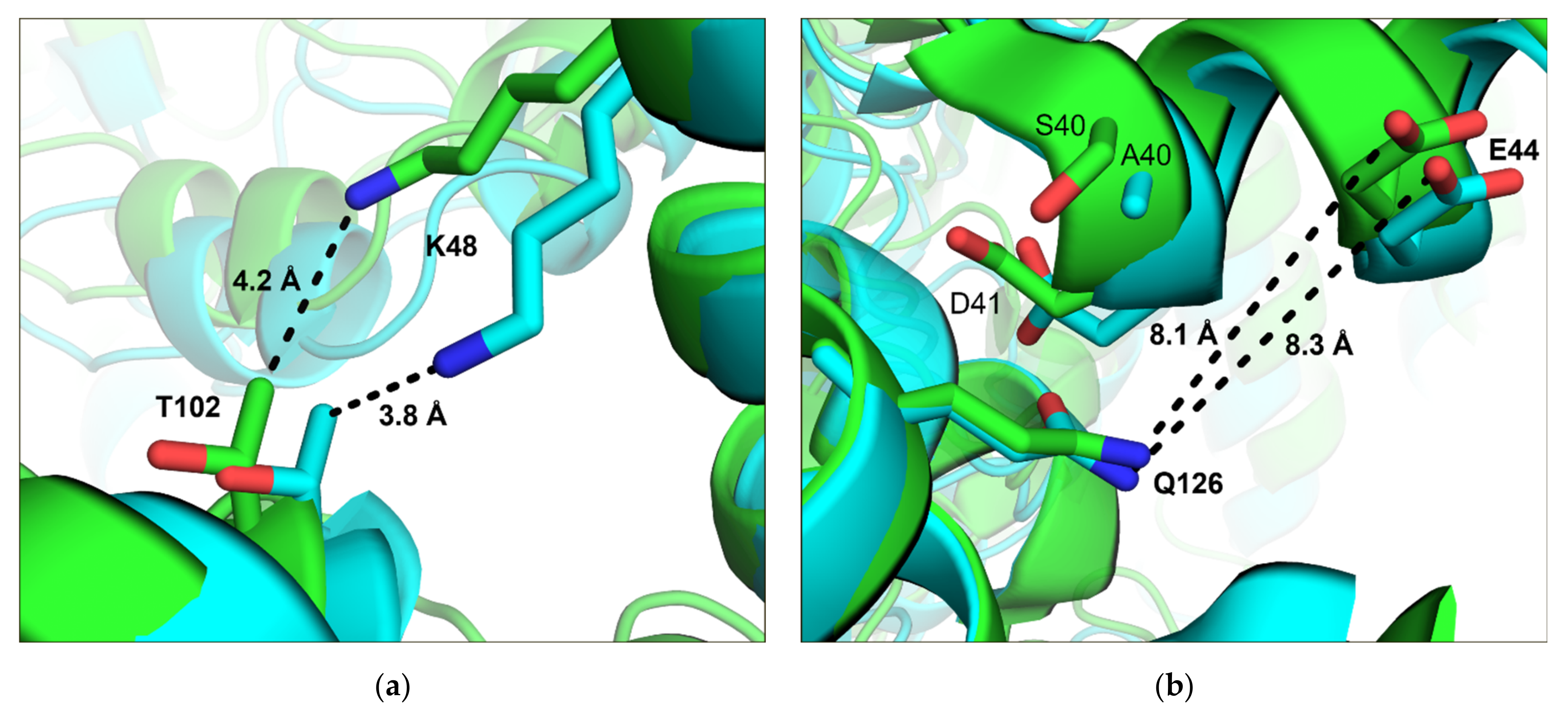 Crystals 11 00975 g002