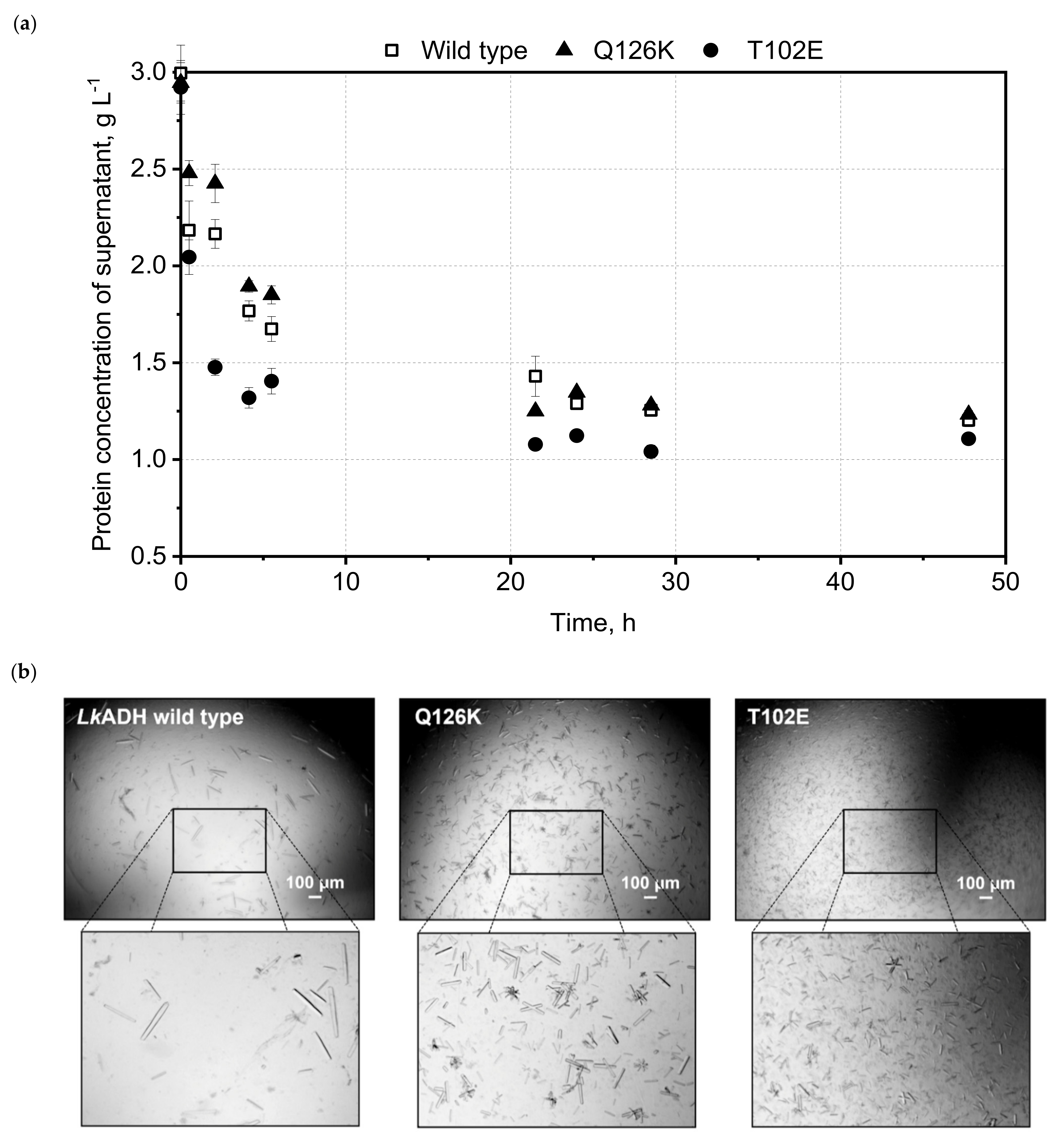 Crystals 11 00975 g003