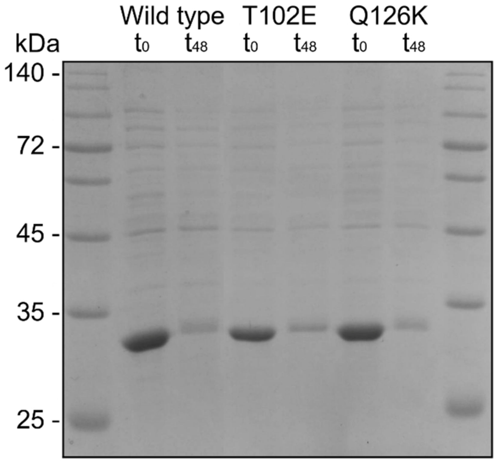 Crystals 11 00975 g004