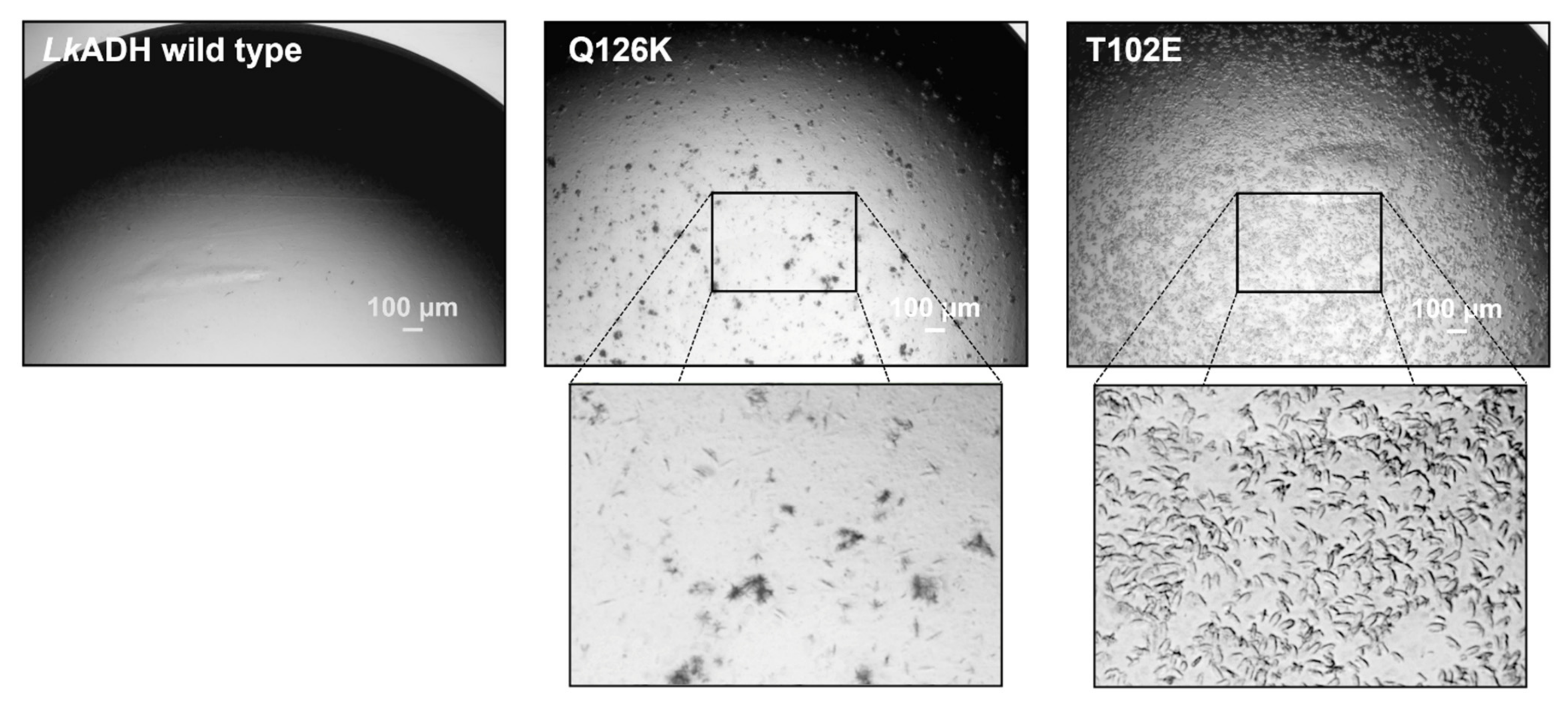 Crystals 11 00975 g006