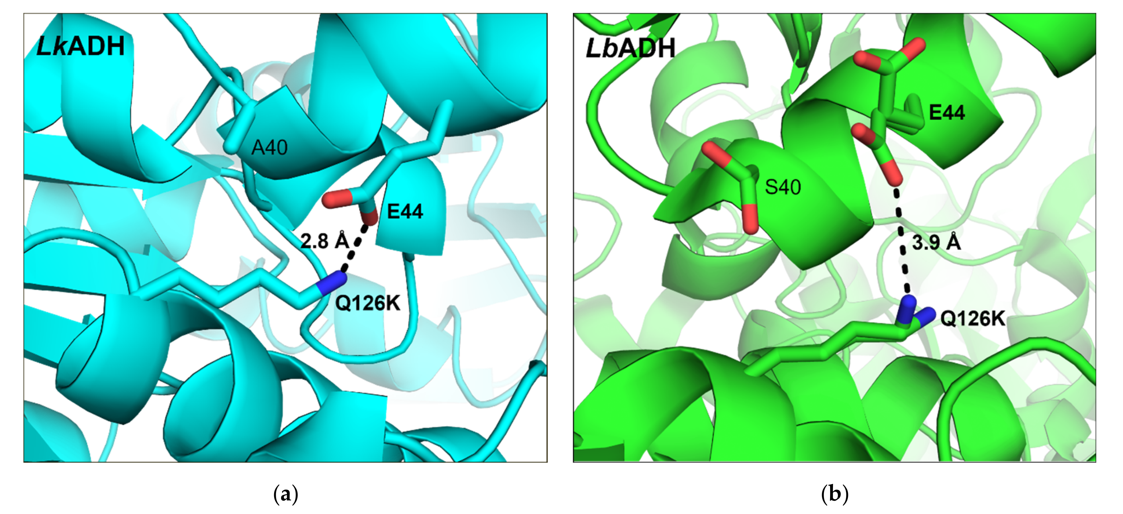 Crystals 11 00975 g007