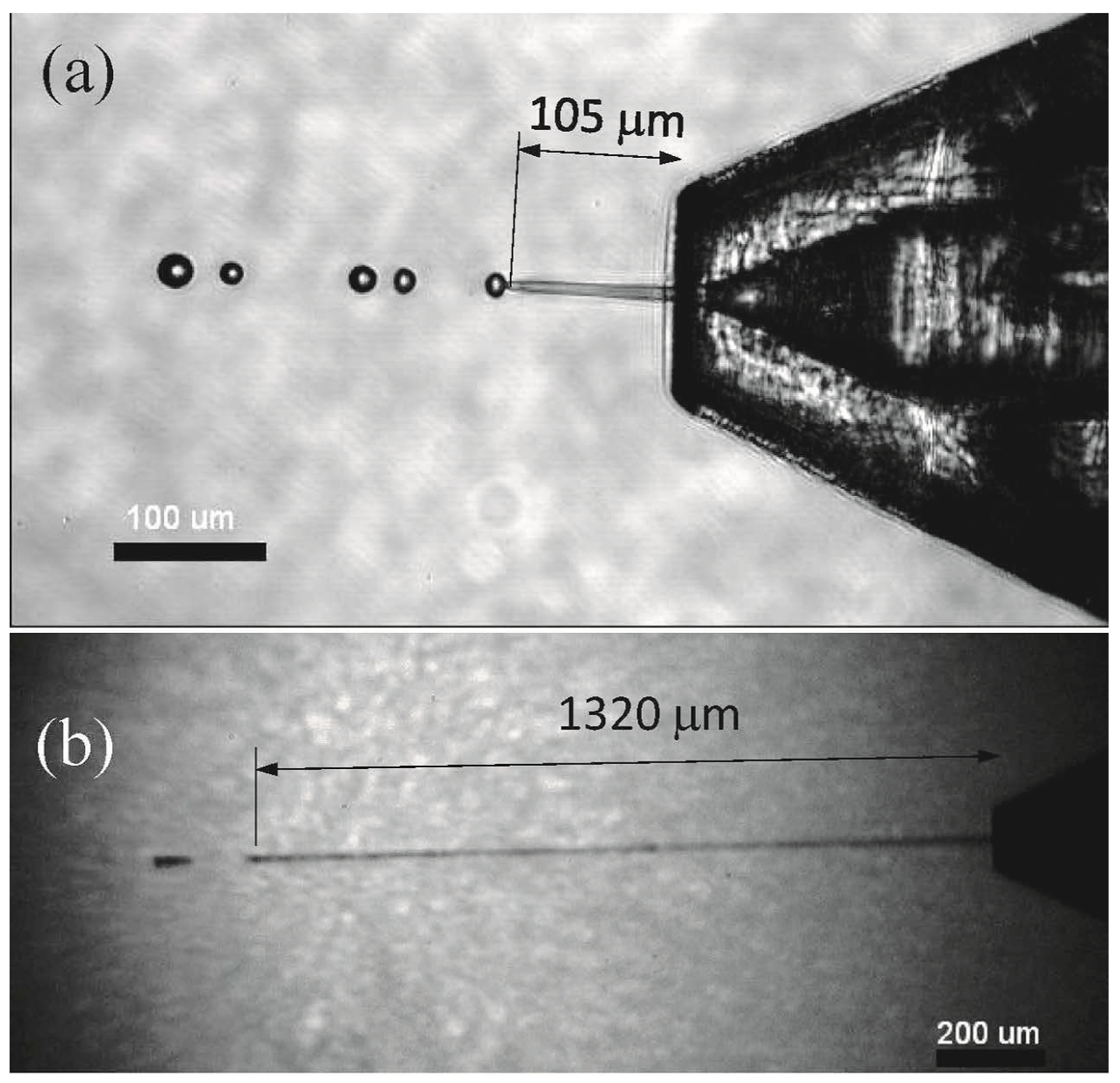 Crystals 11 00990 g005