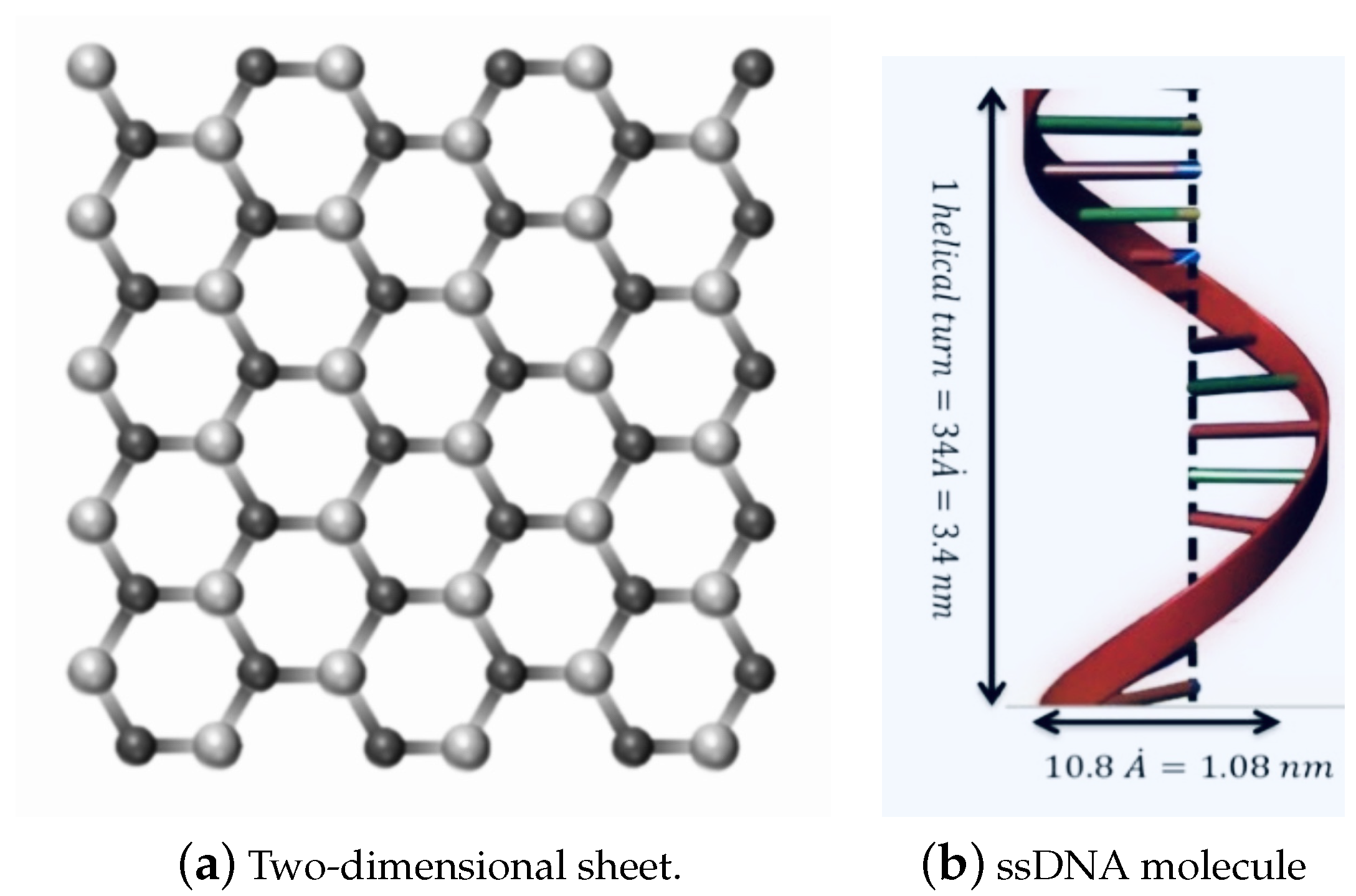 Crystals 11 01019 g001