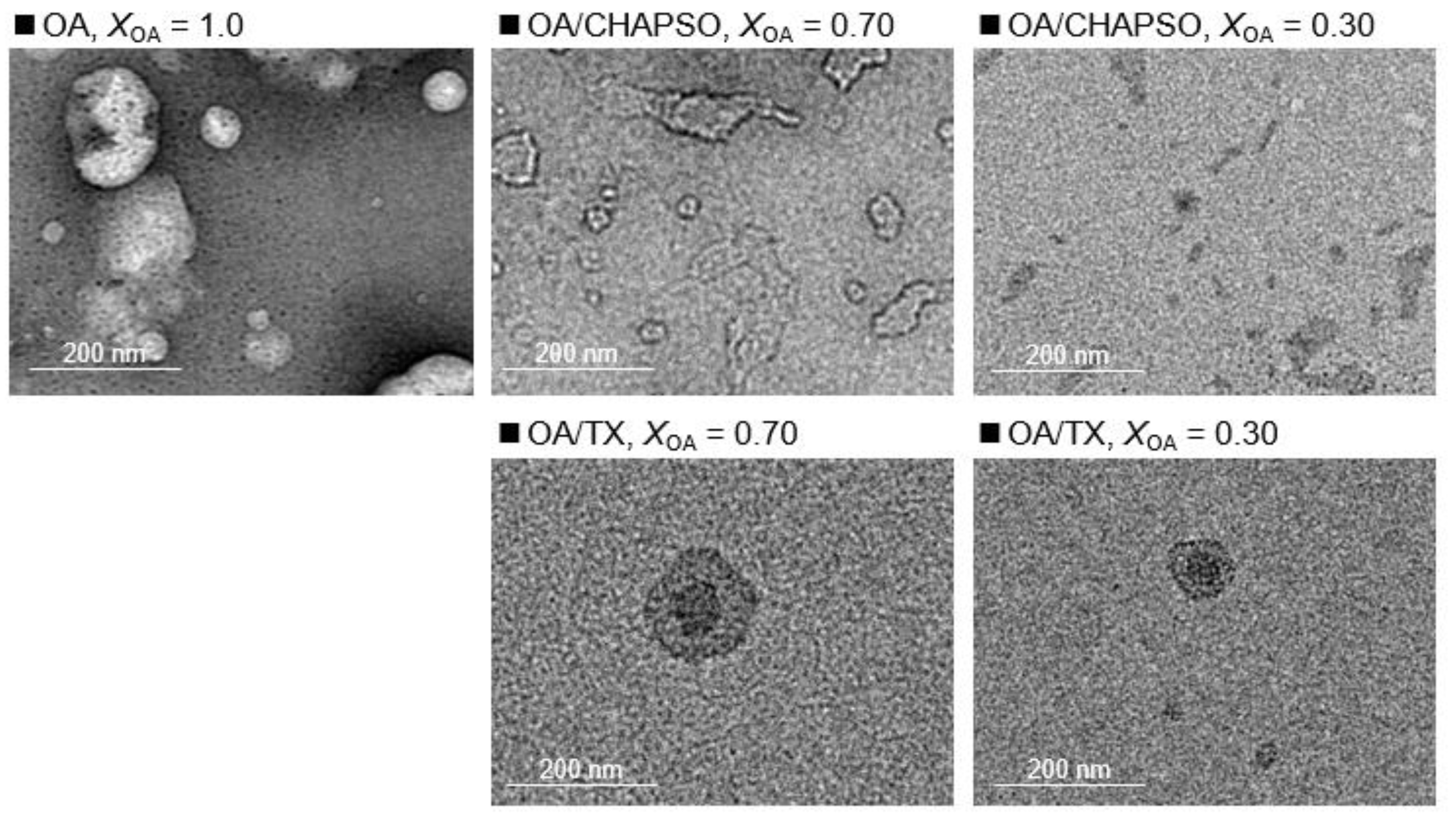 Crystals 11 01023 g003