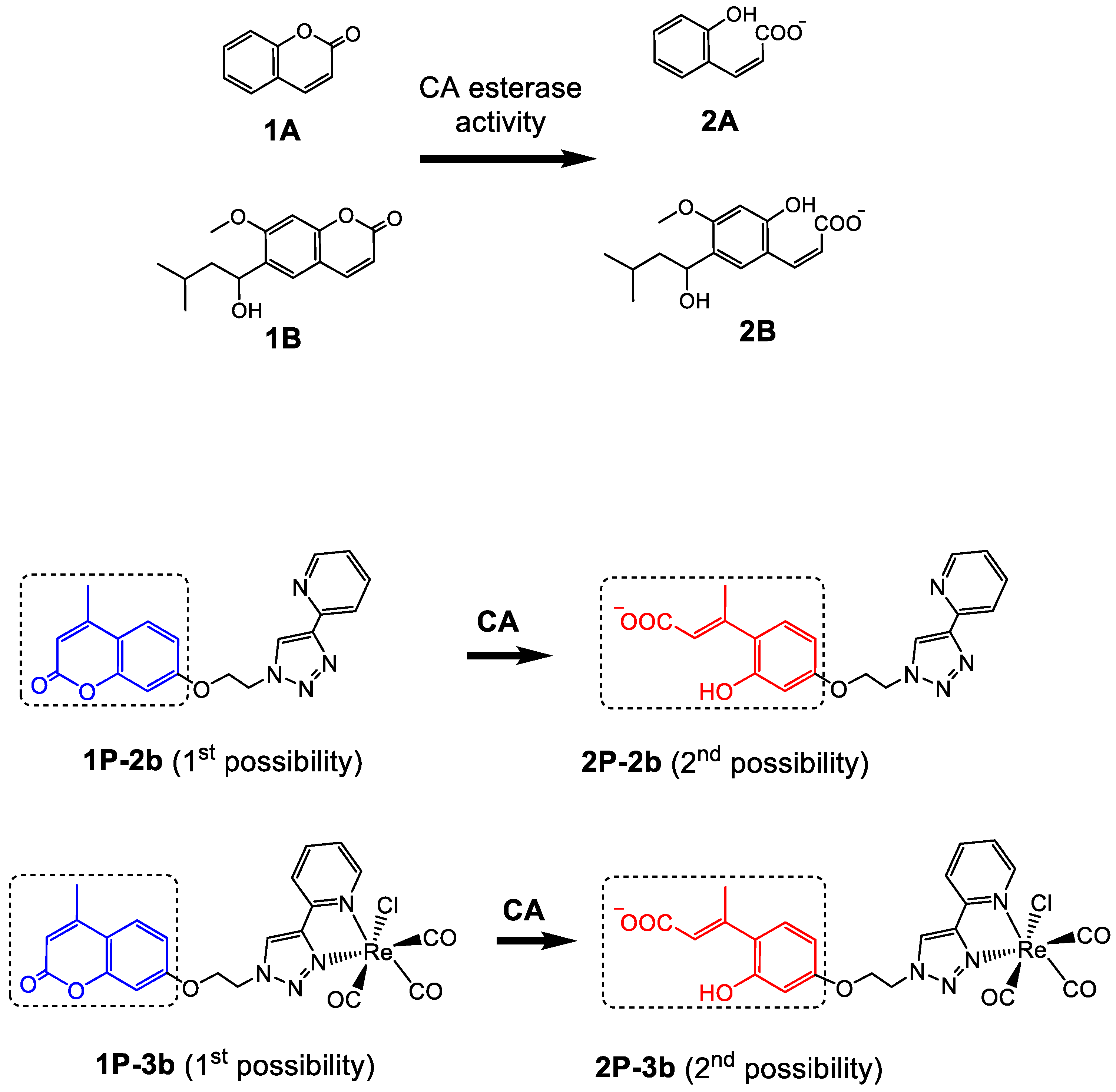 Crystals 11 01076 g002