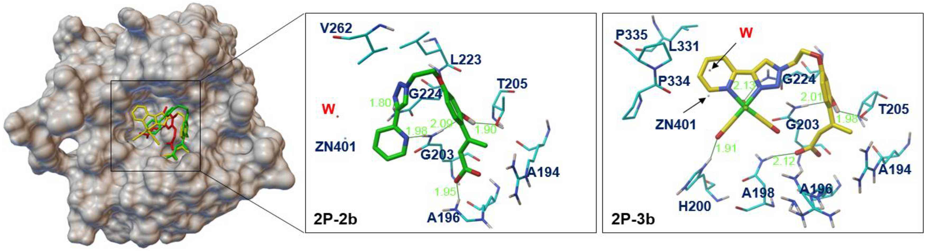 Crystals 11 01076 g004