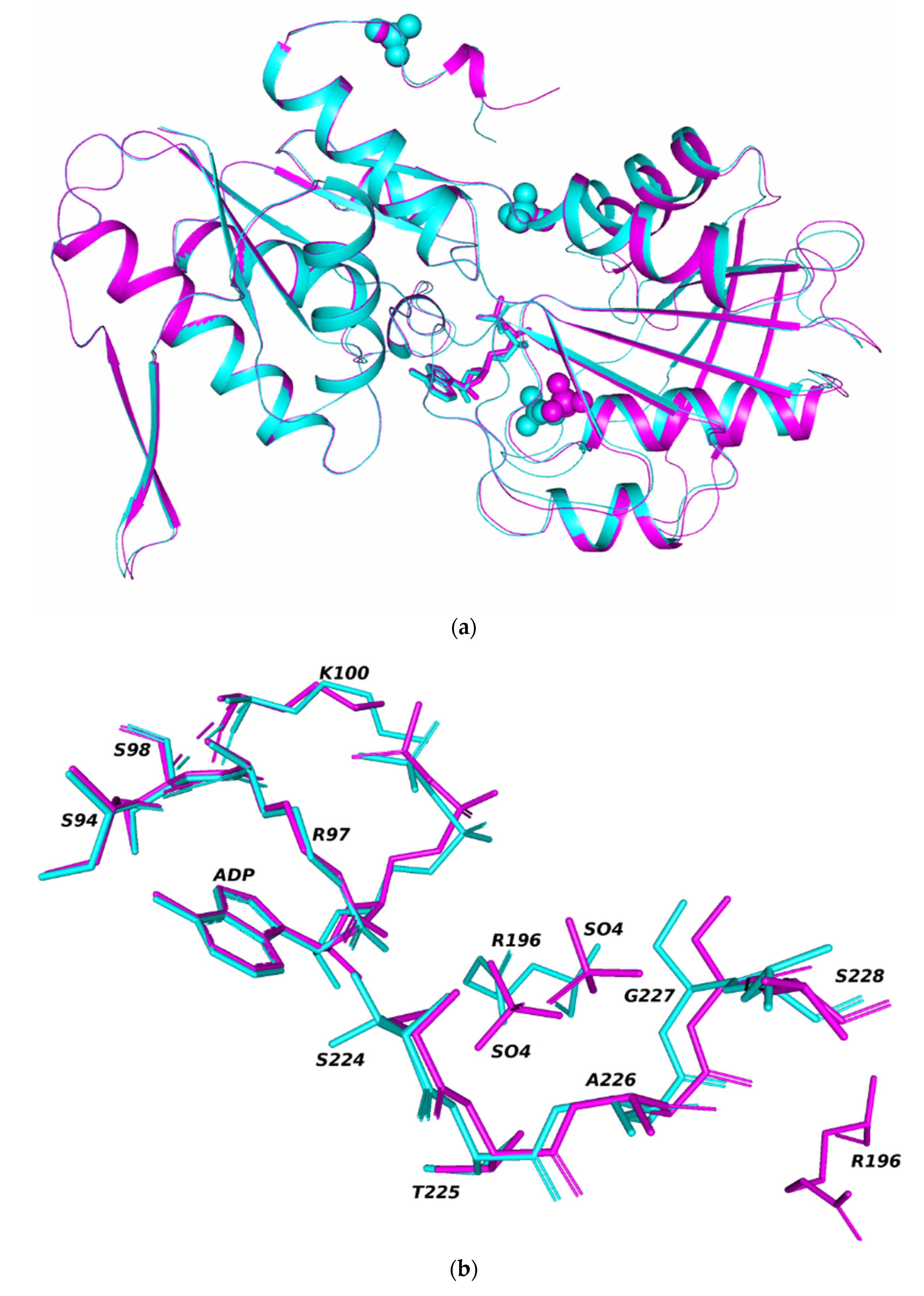 Crystals 11 01128 g002