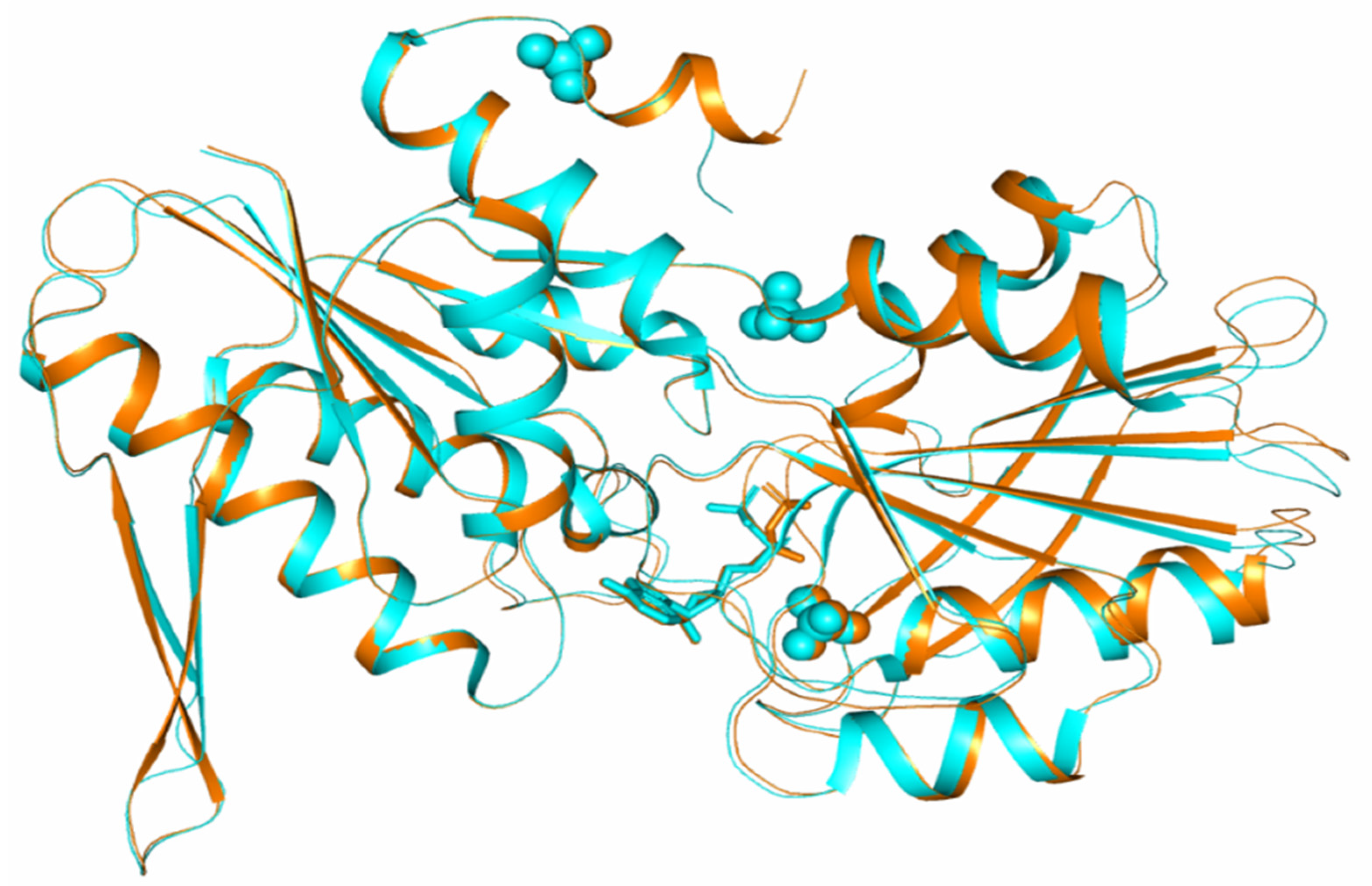 Crystals 11 01128 g003