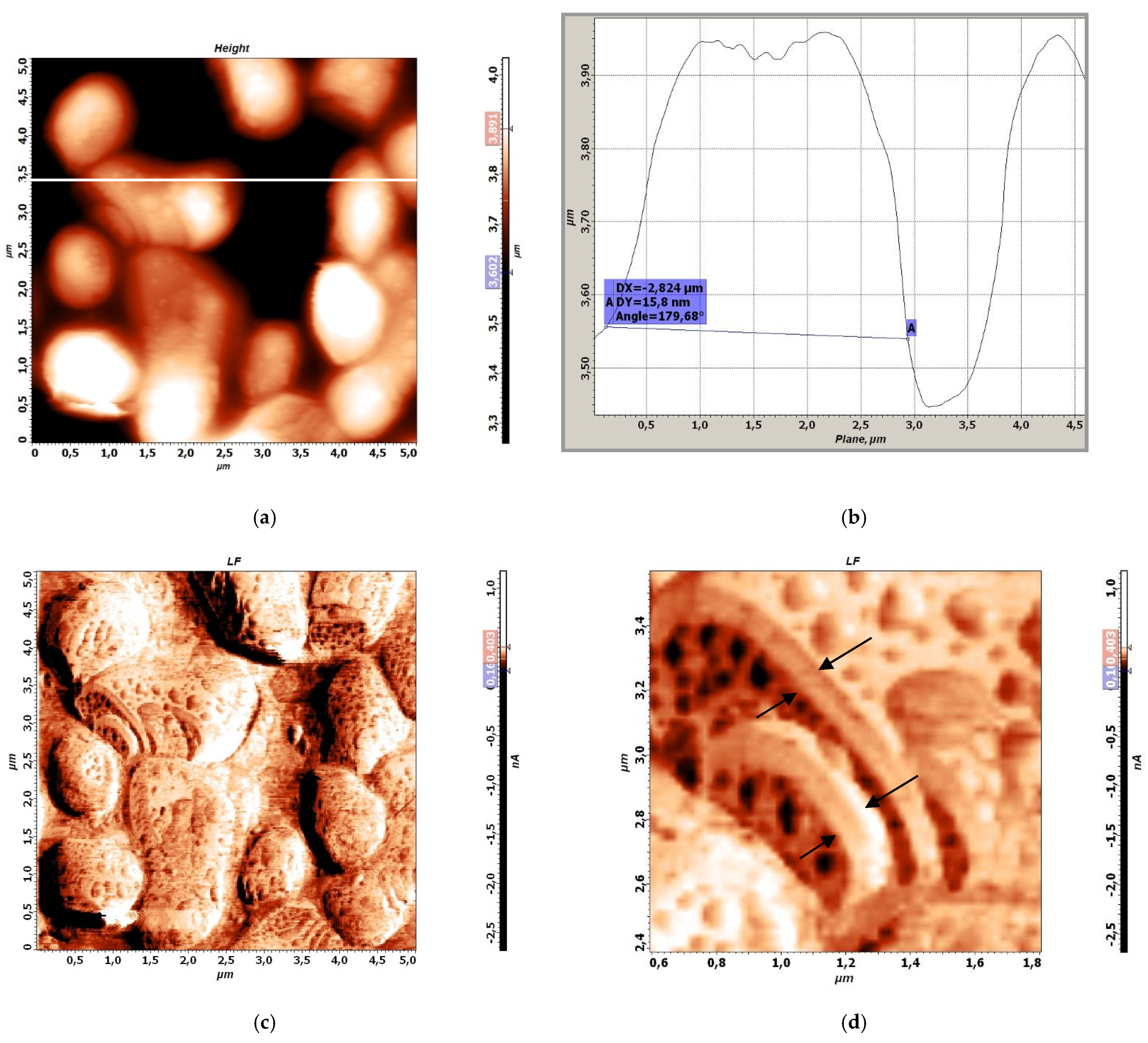 Crystals 11 01143 g002