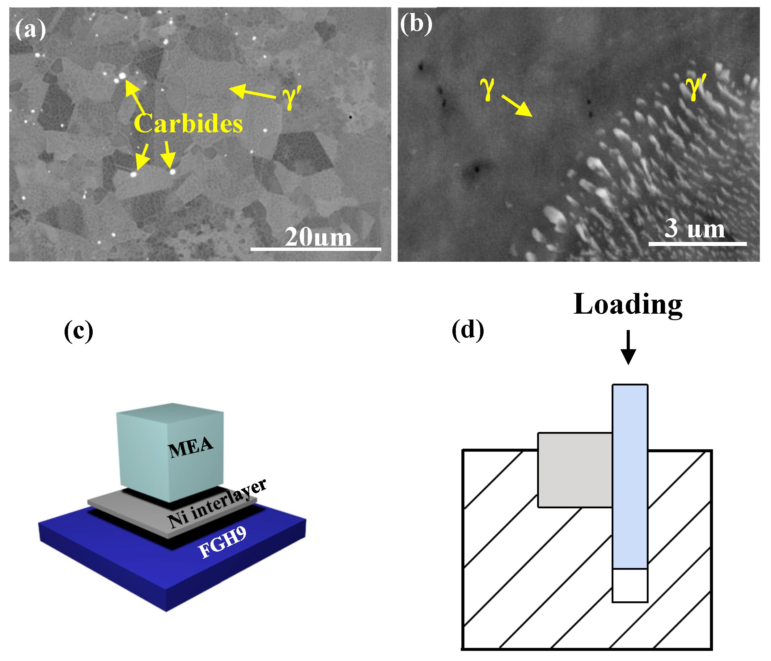 Crystals 11 01158 g001