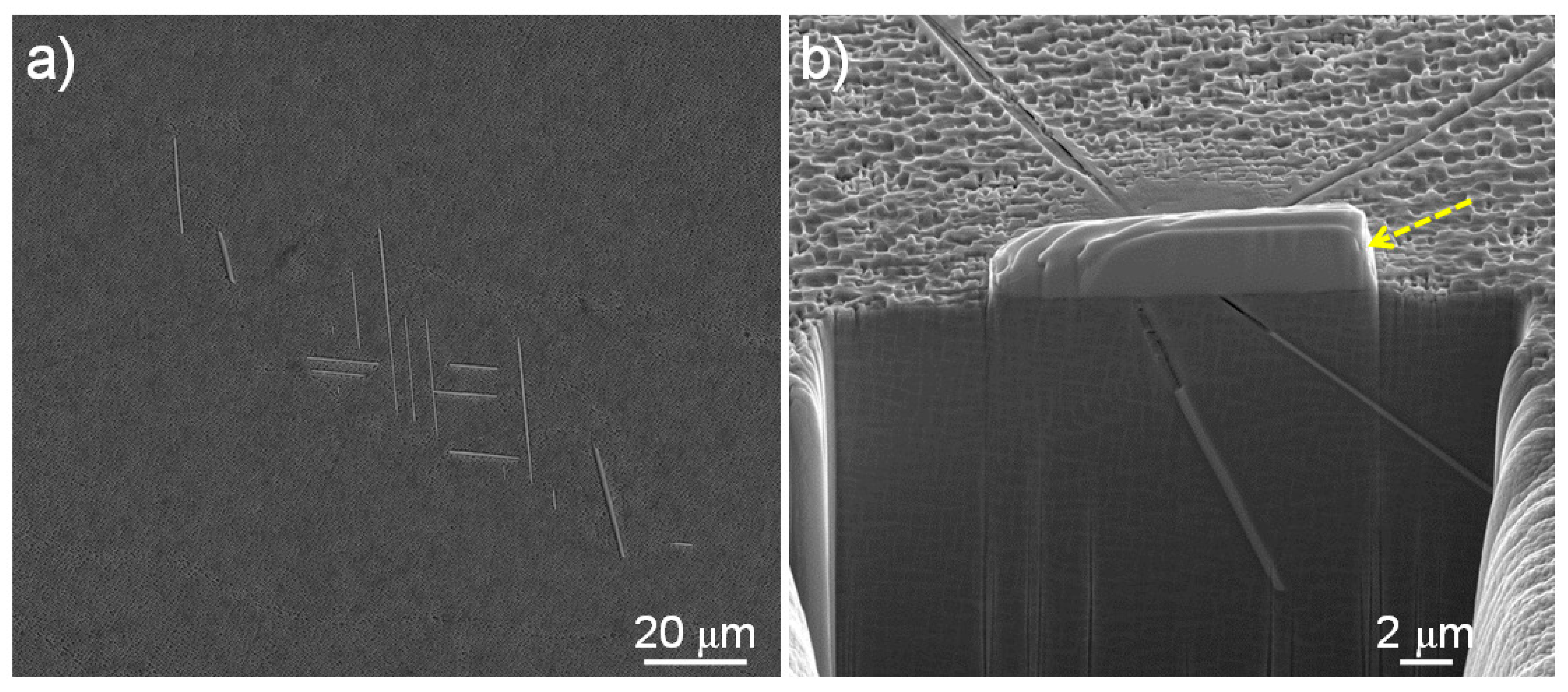 Crystals 11 01201 g007