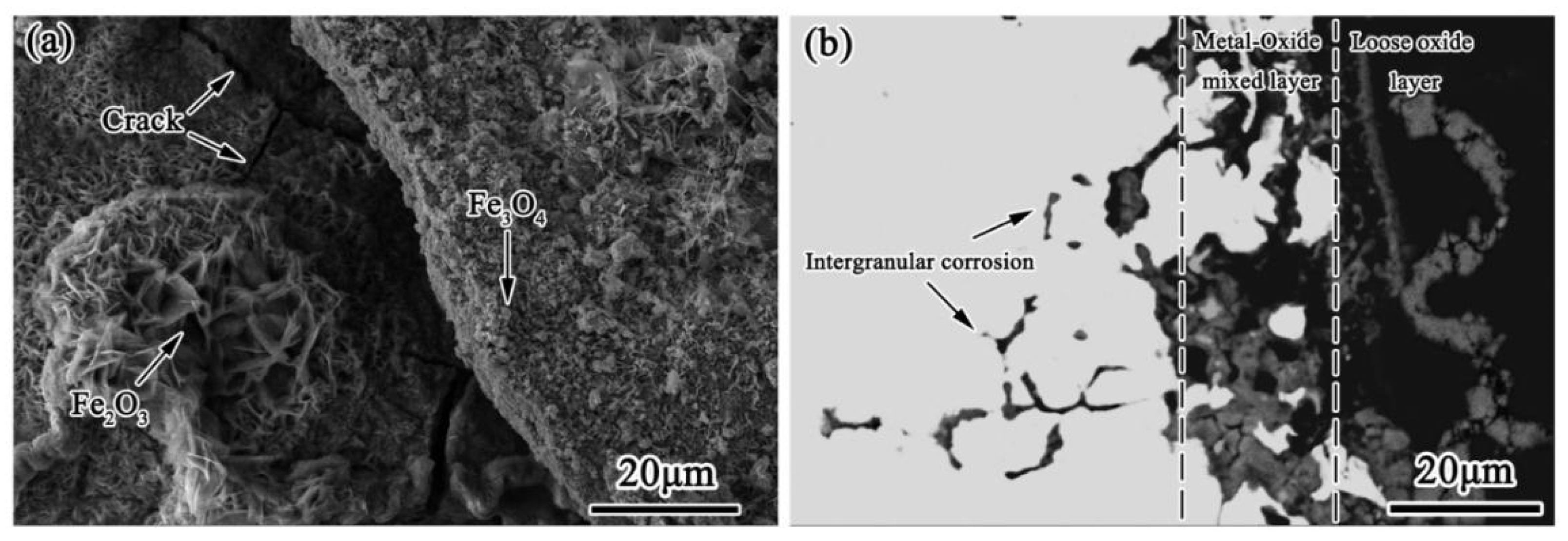 Crystals 11 01213 g009