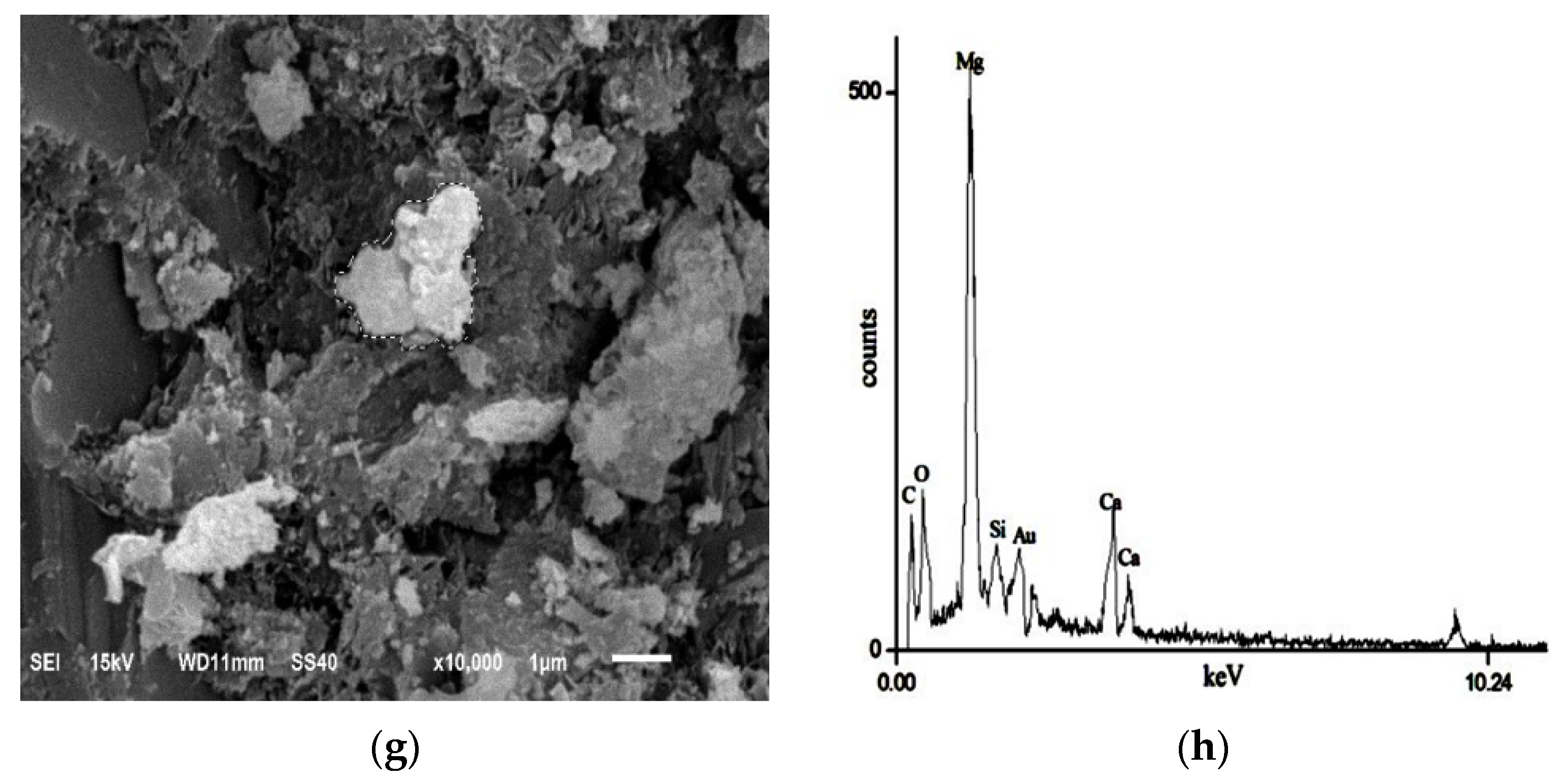 Crystals 11 01360 g008b
