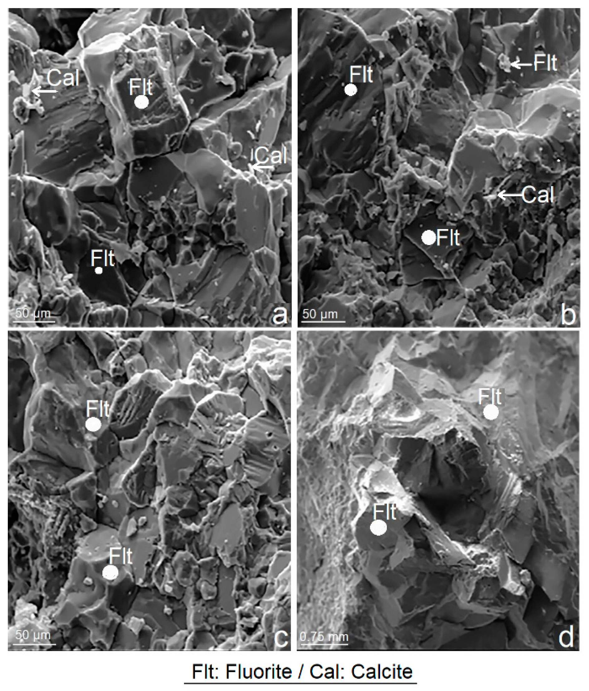 Crystals 11 01367 g003 Crystals 11 01367 g003