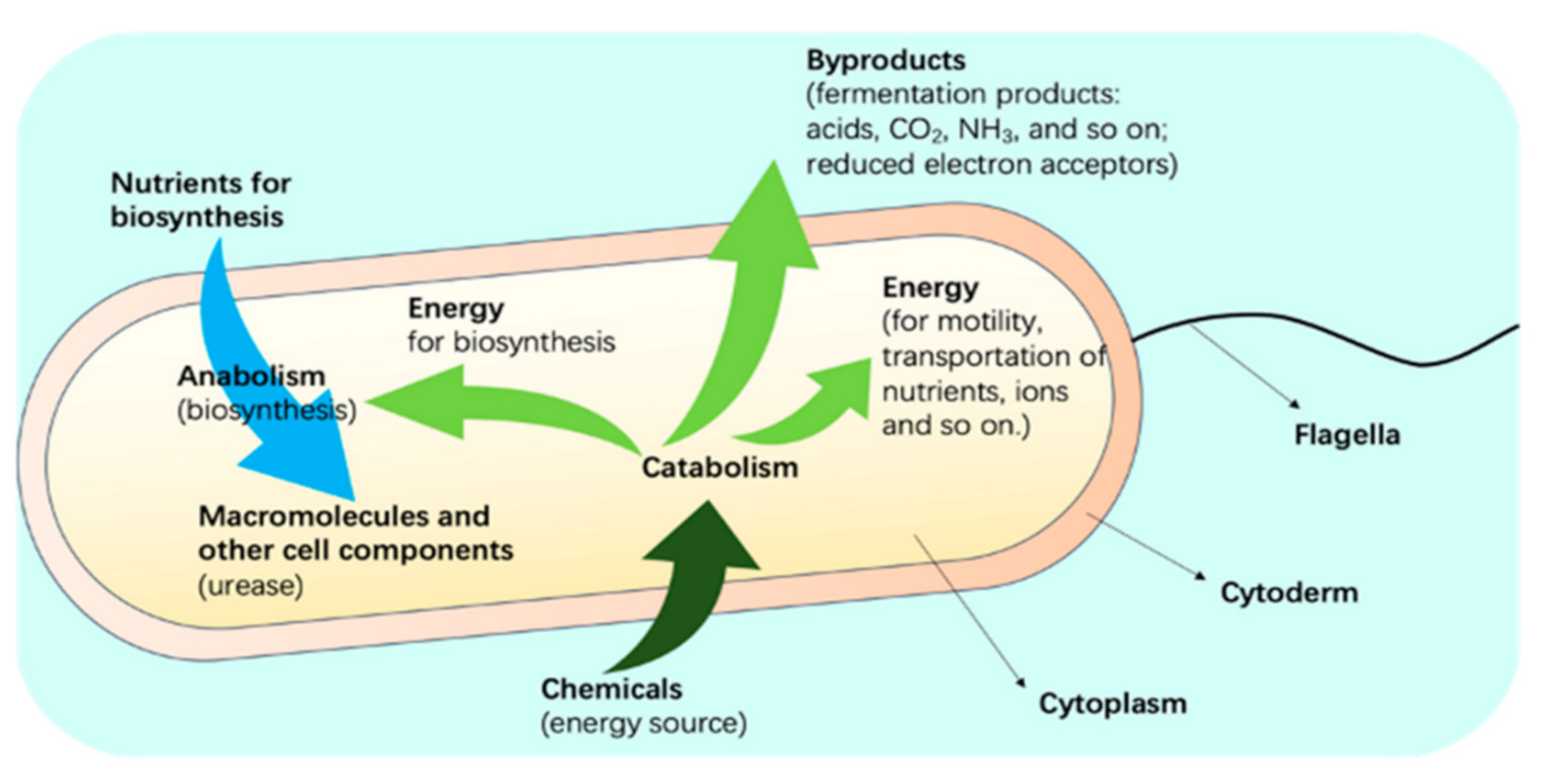 Crystals 11 01439 g010