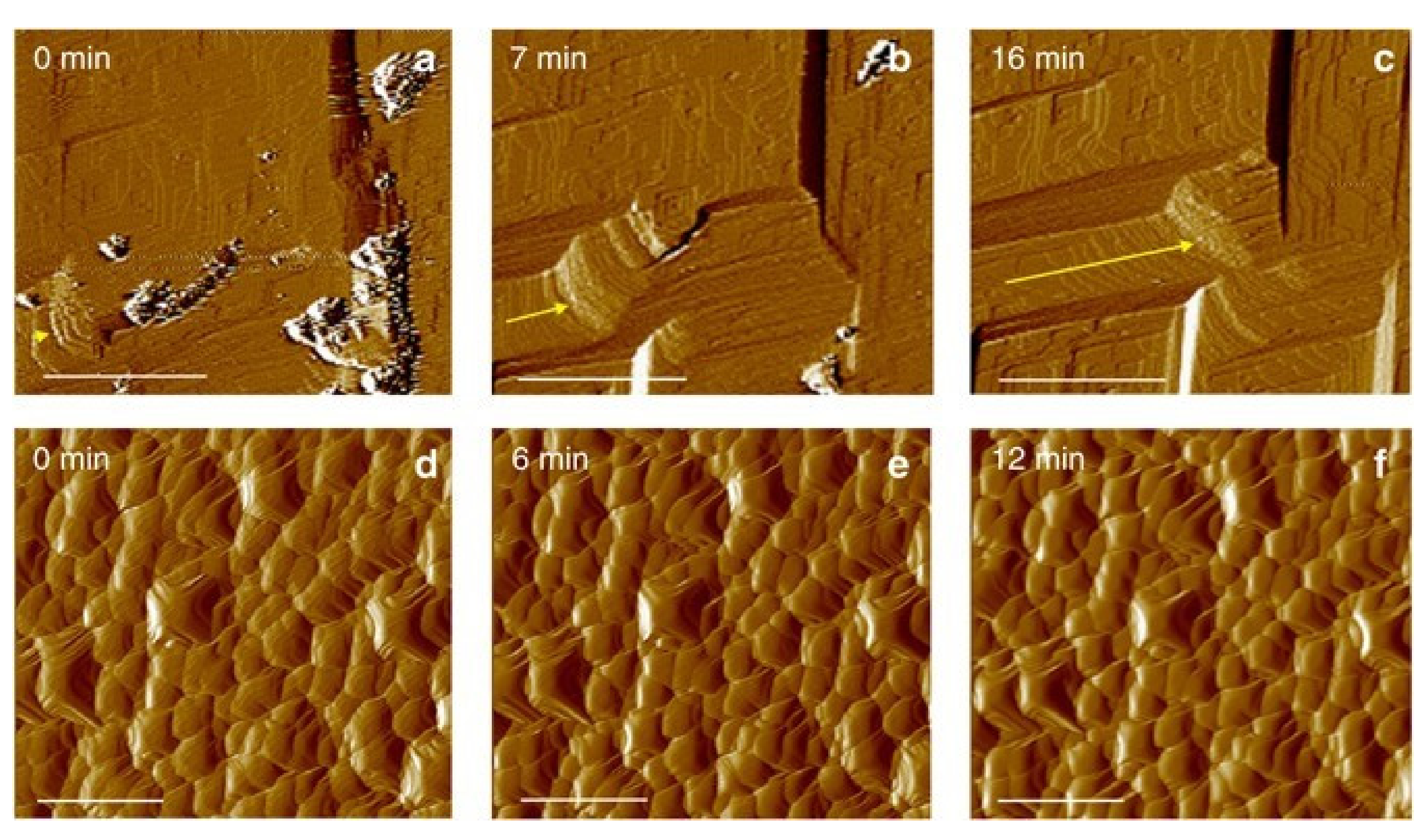 Crystals 11 01439 g011