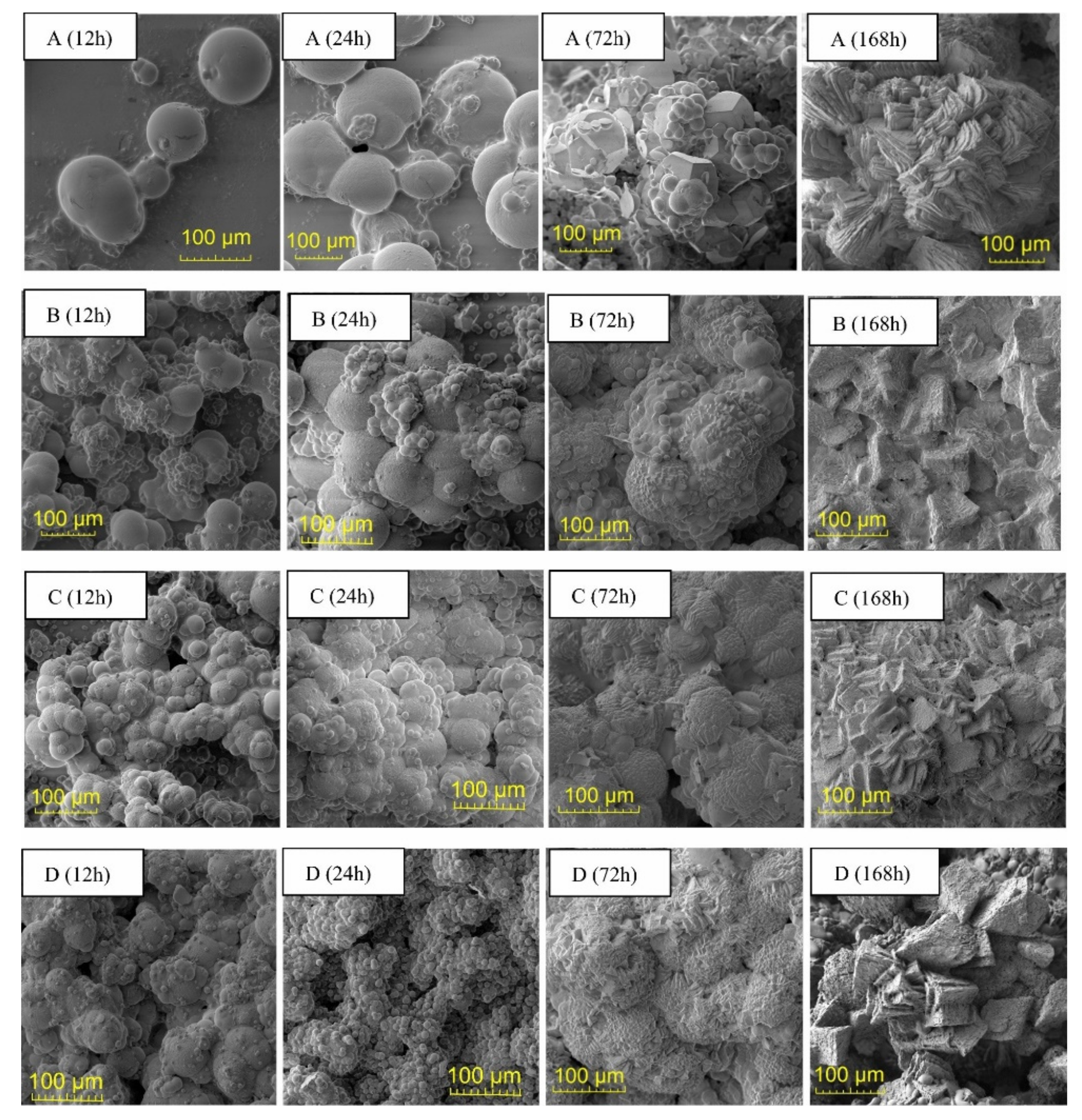 Crystals 11 01439 g012