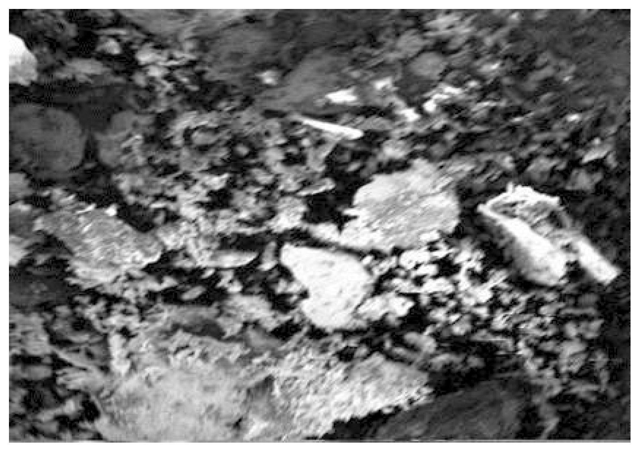 Crystals 11 01477 g003 Crystals 11 01477 g003