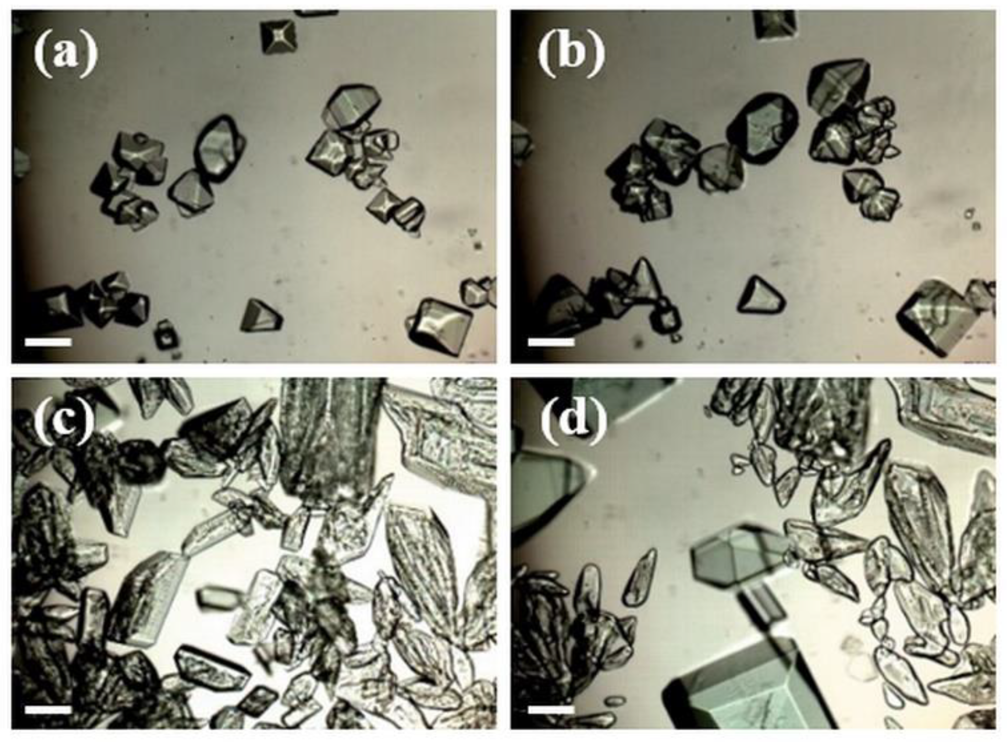 Crystals 11 01485 g009