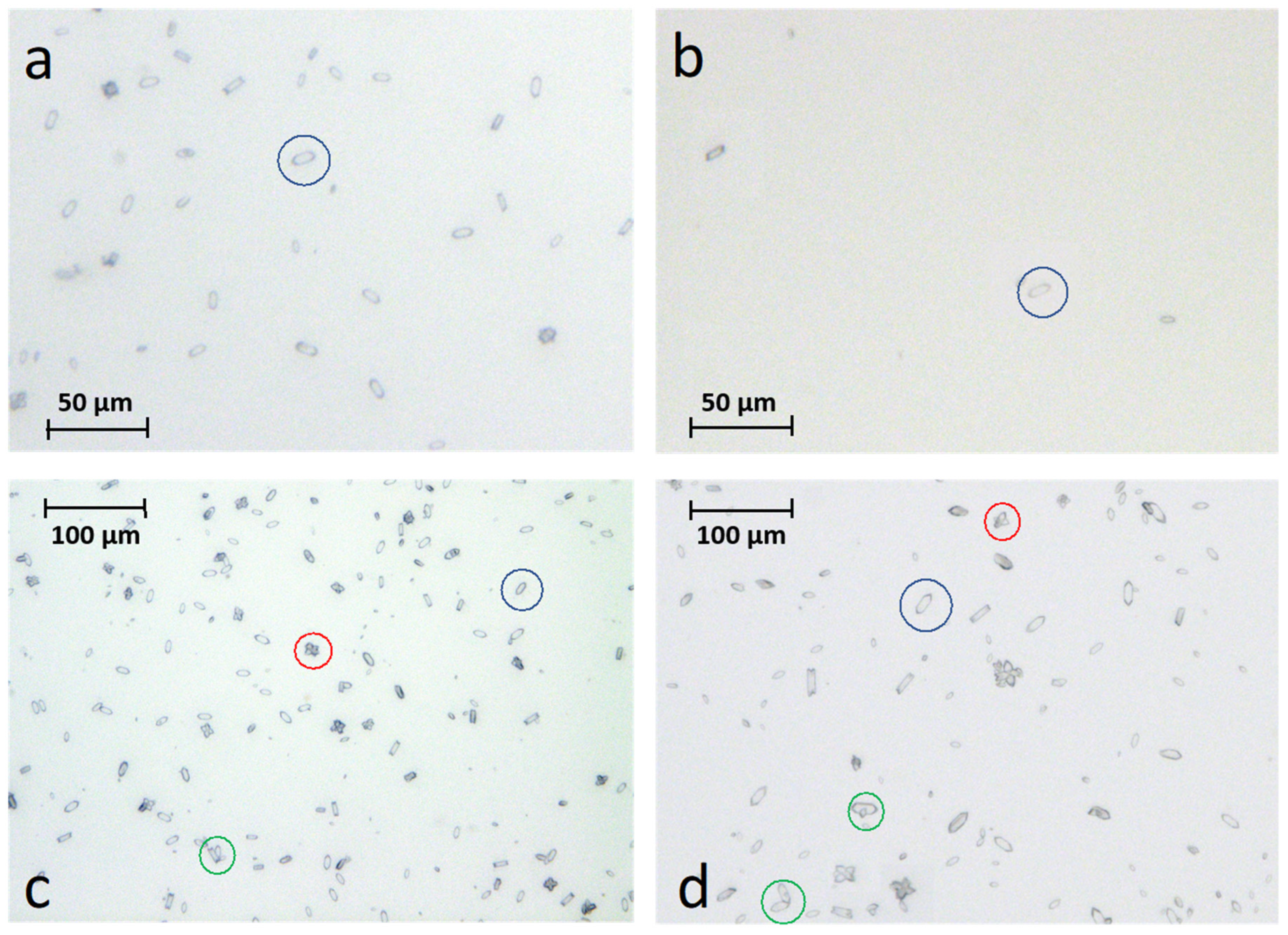 Crystals 11 01507 g002