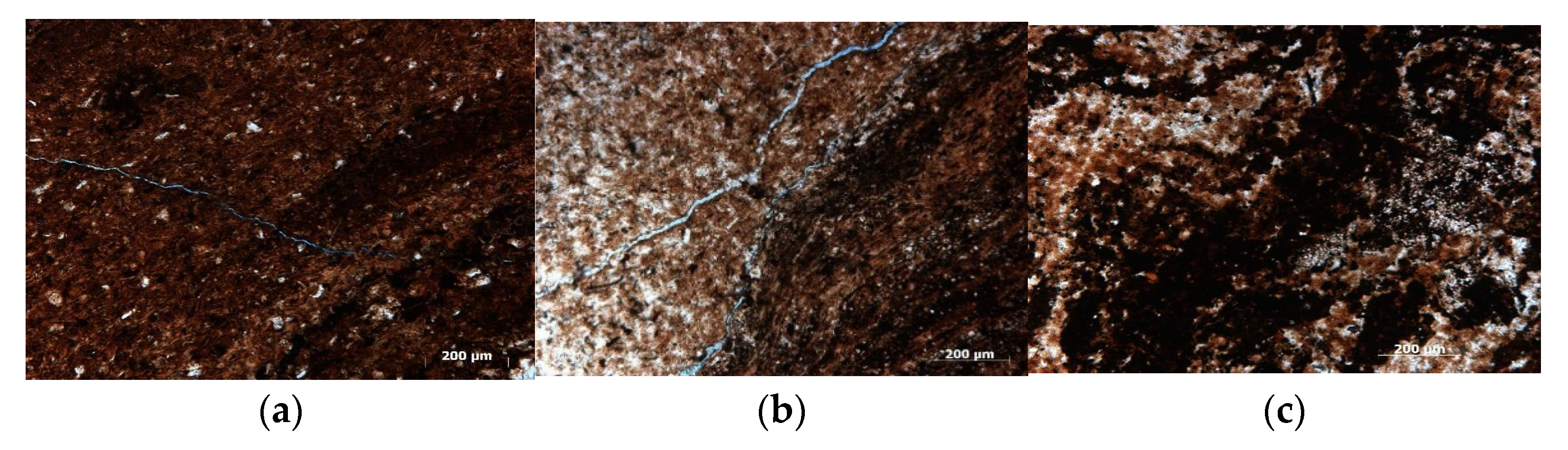 Crystals 11 01524 g003