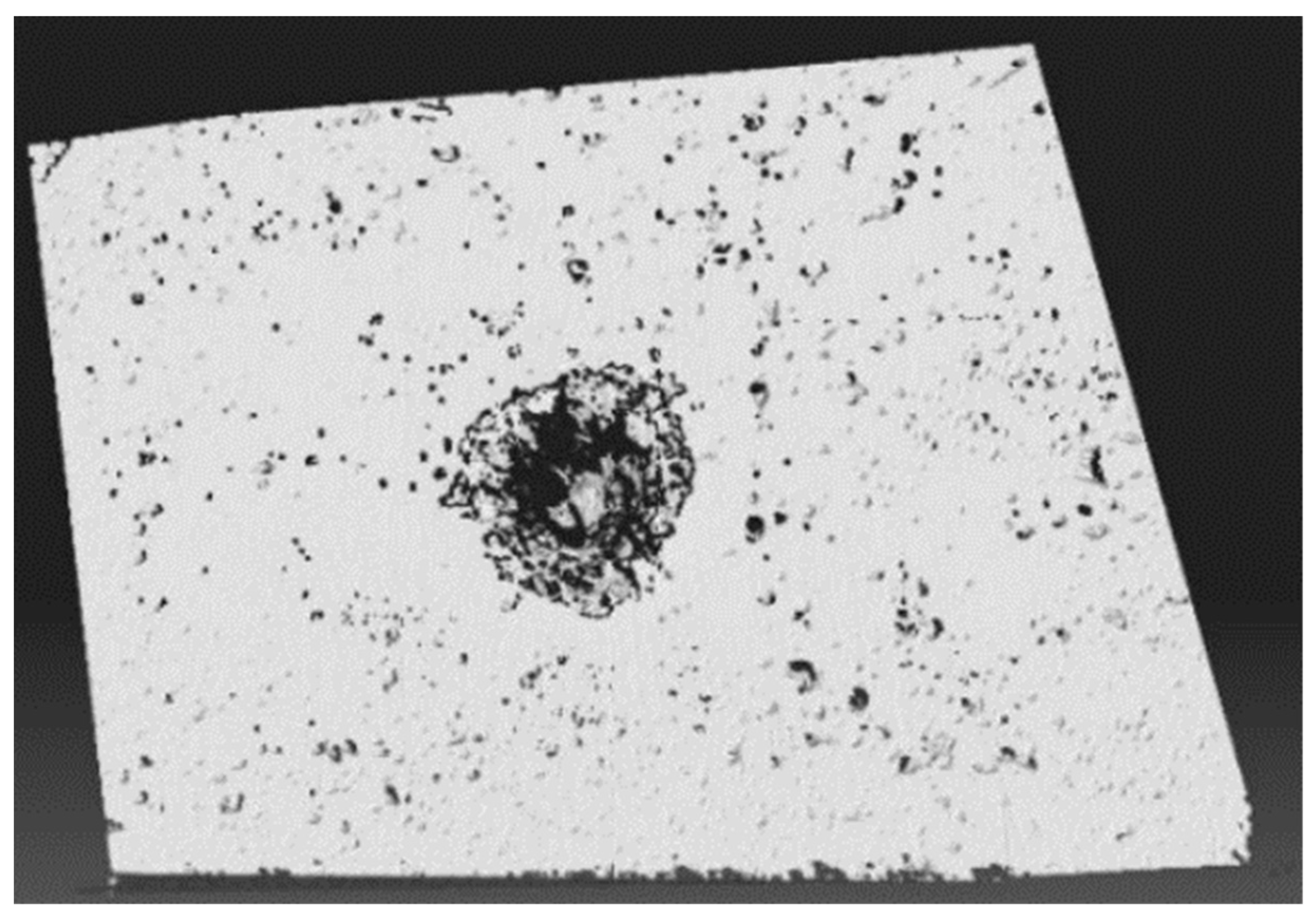Crystals 11 01529 g008 Crystals 11 01529 g008