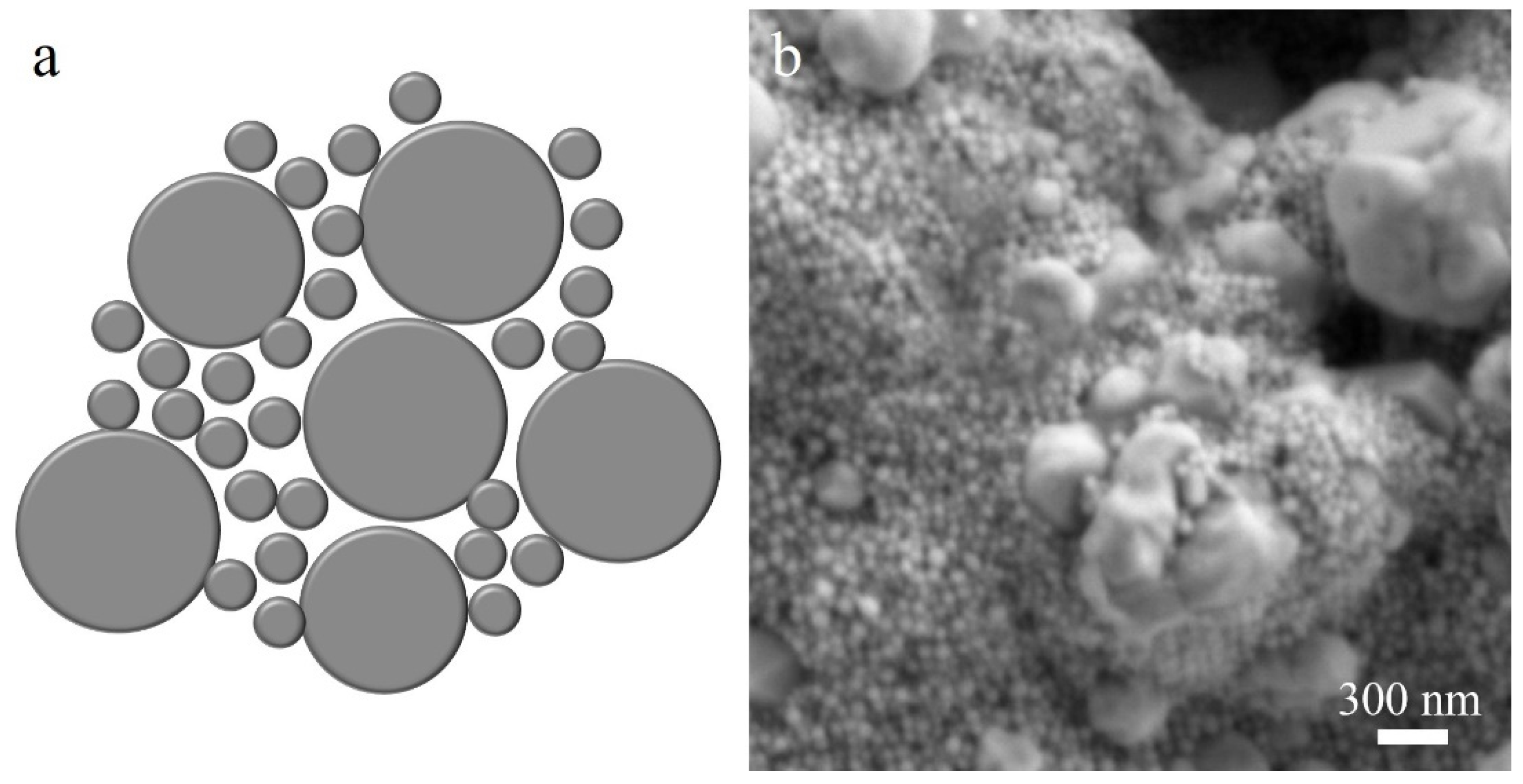 Crystals 11 01537 g001