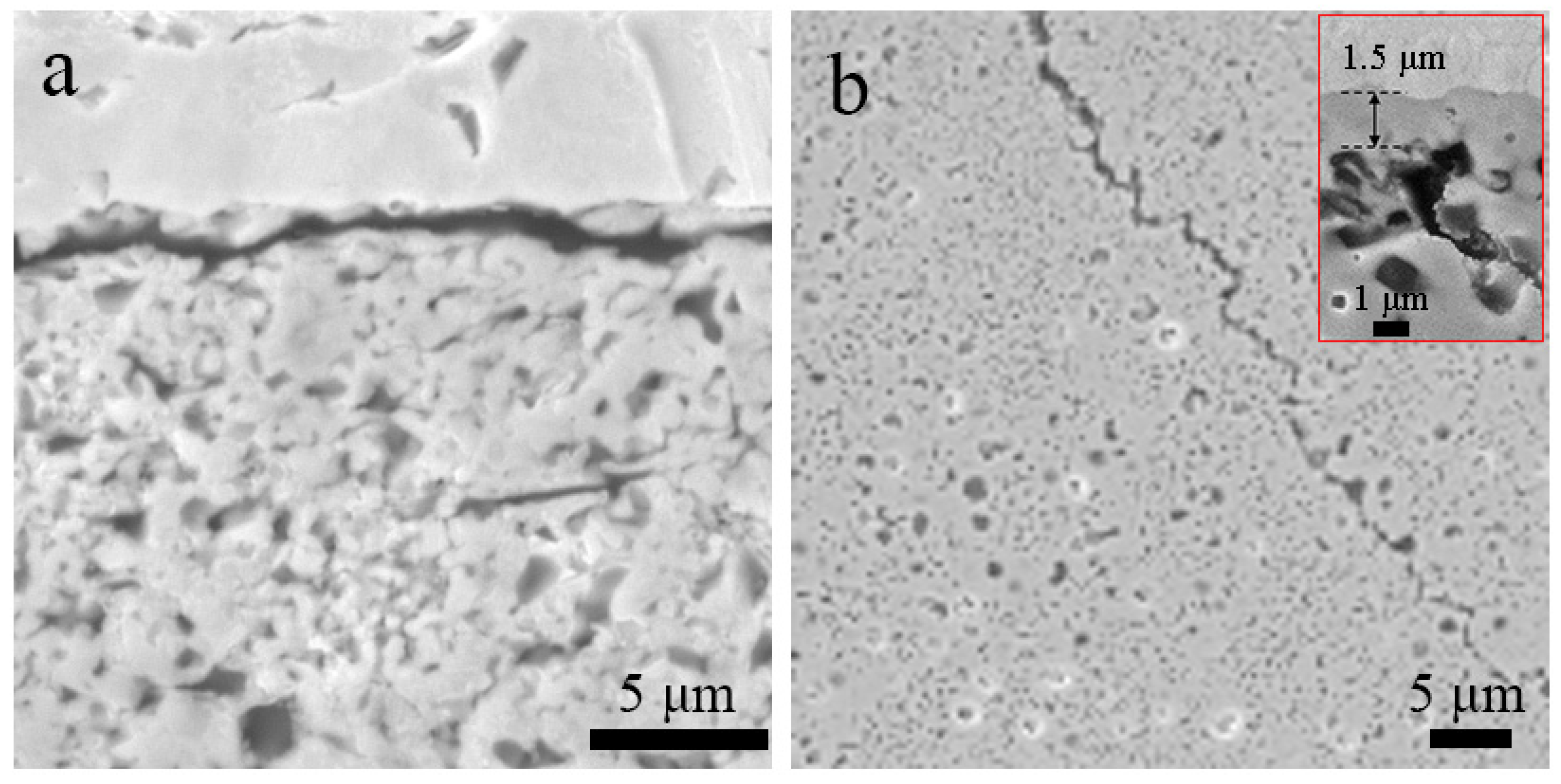 Crystals 11 01537 g006
