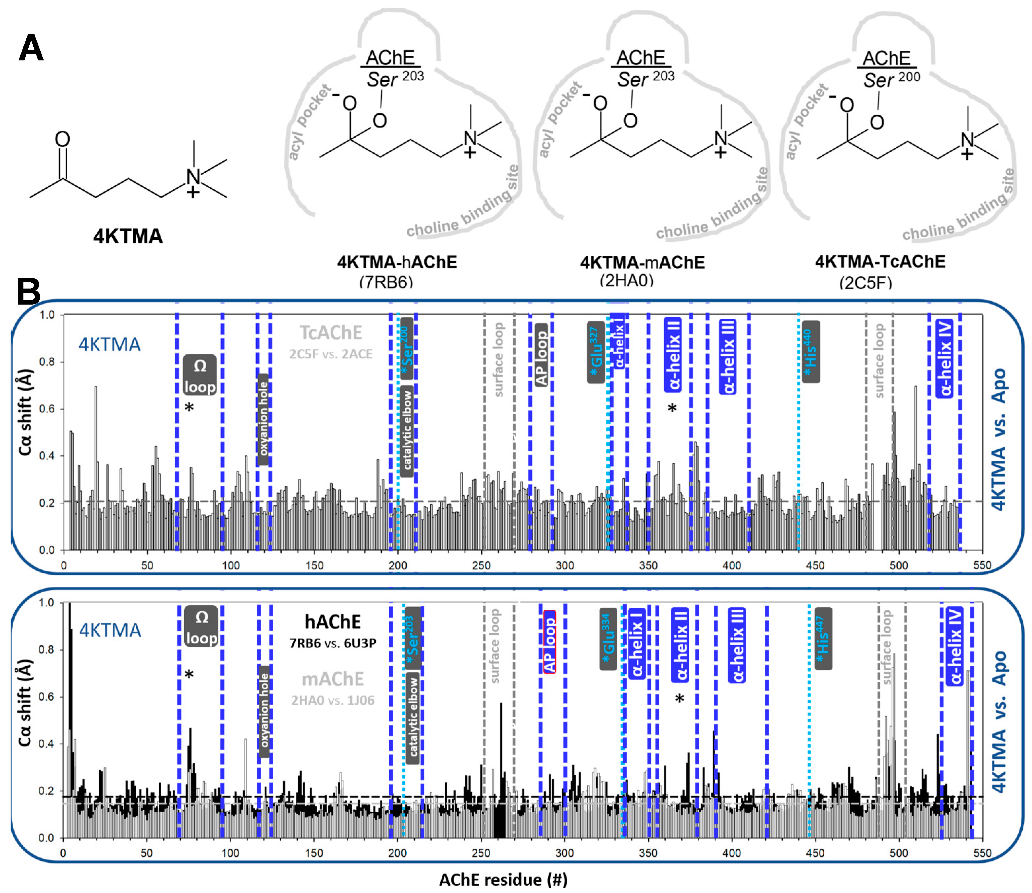 Crystals 11 01557 g001 Crystals 11 01557 g001