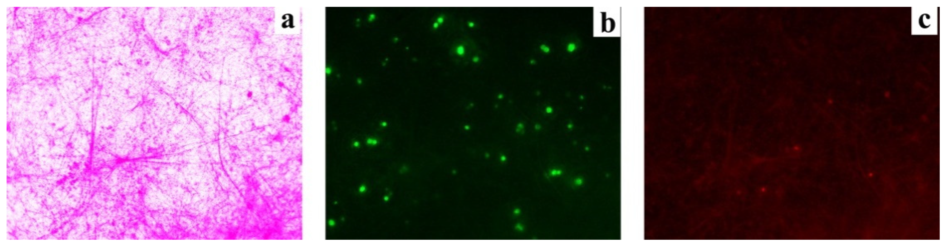 Crystals 11 01560 g012