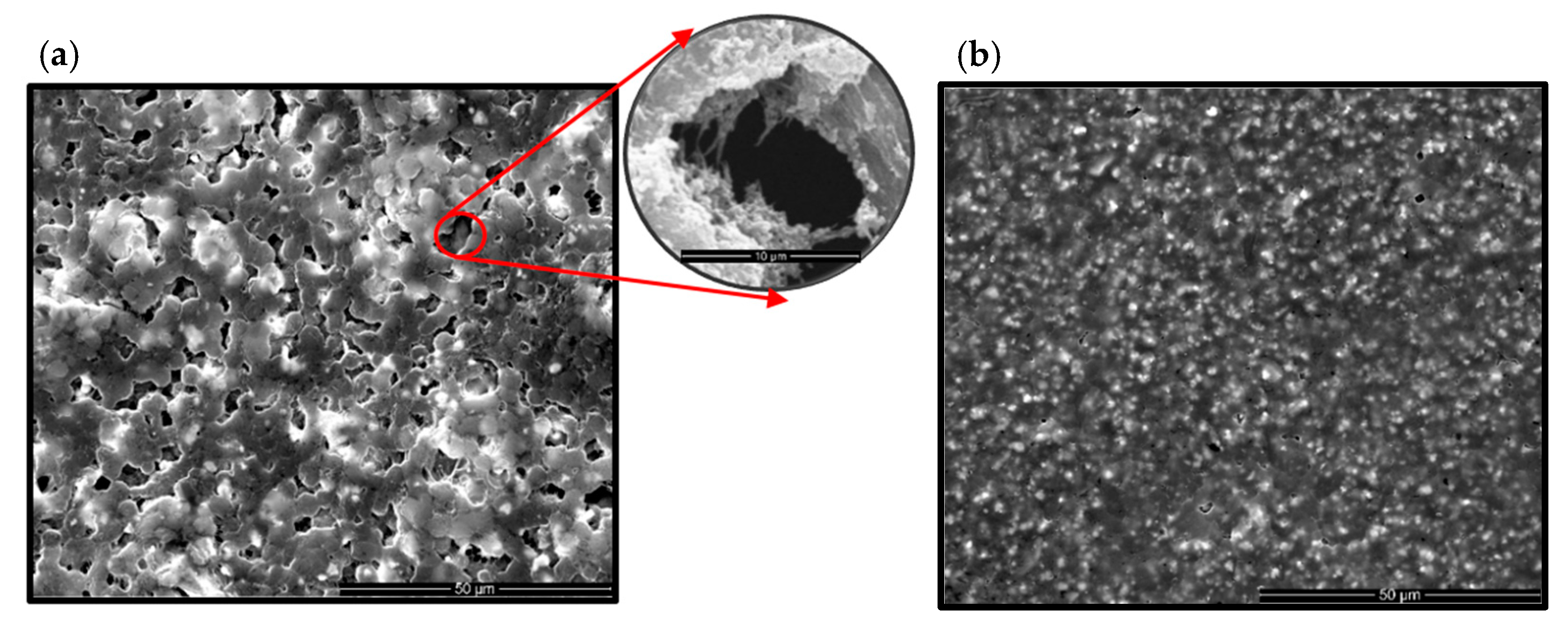 Crystals 11 01576 g006