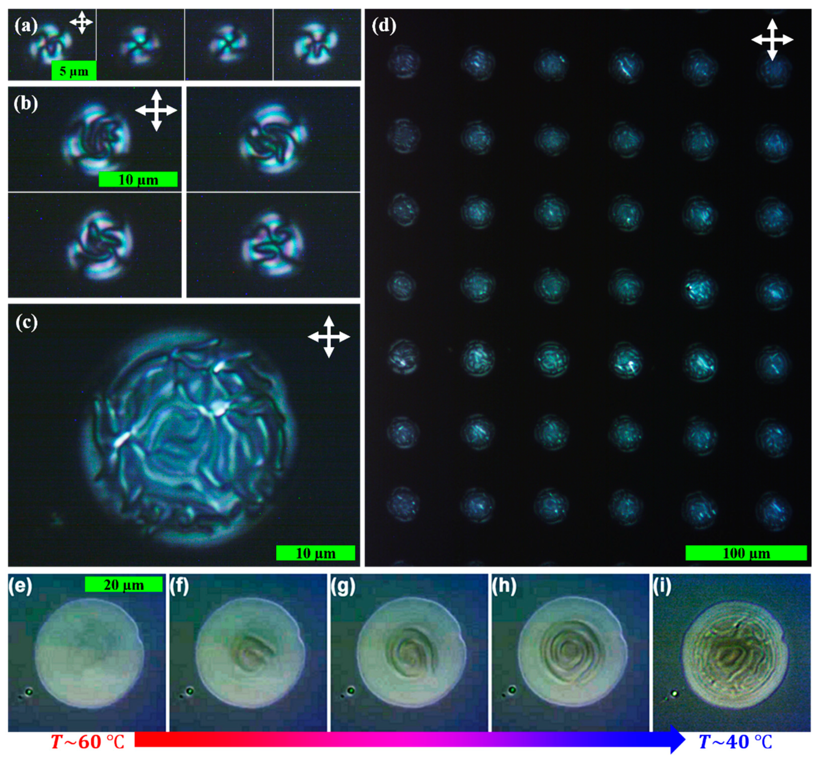 Crystals 12 00013 g004 Crystals 12 00013 g004
