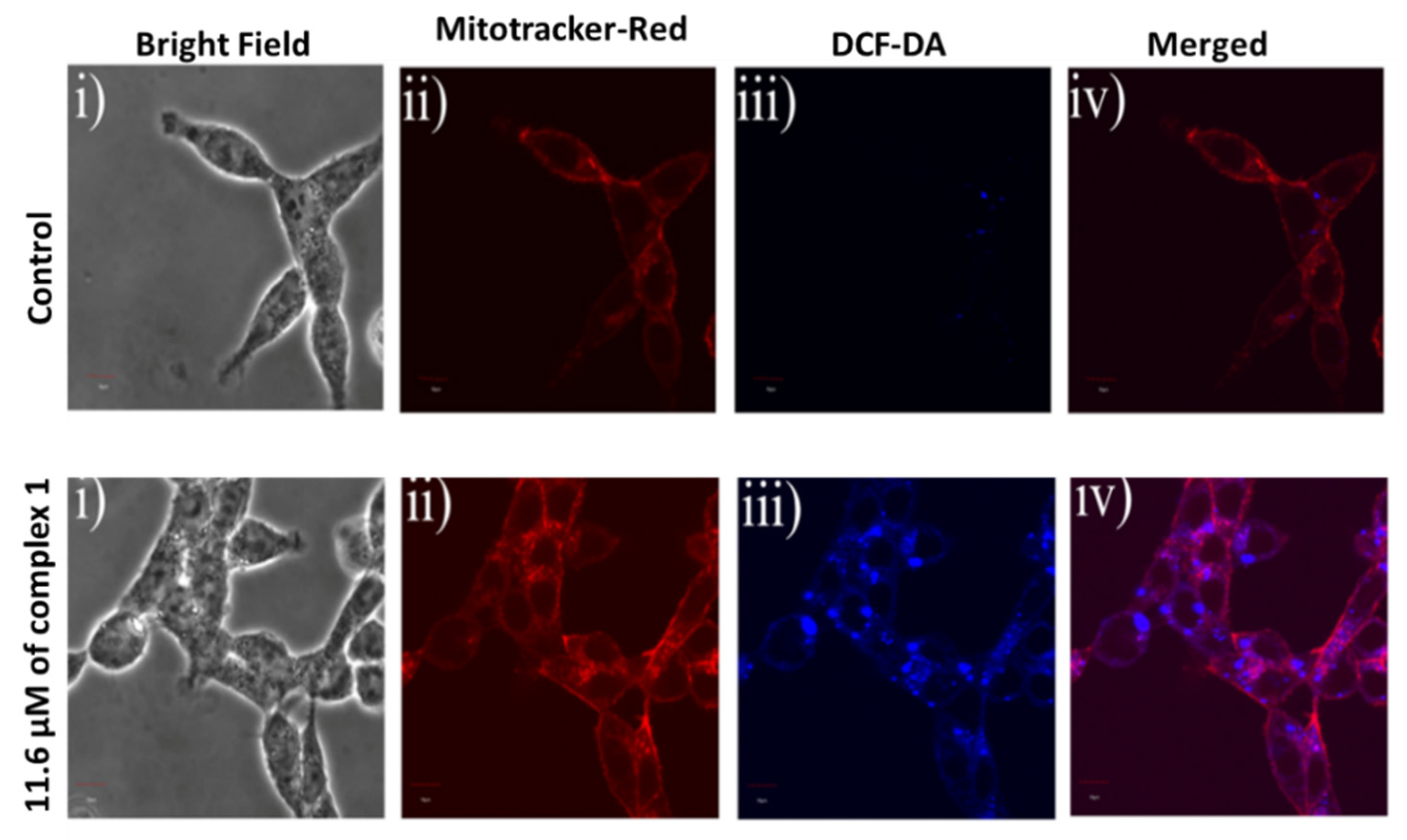 Crystals 12 00015 g009