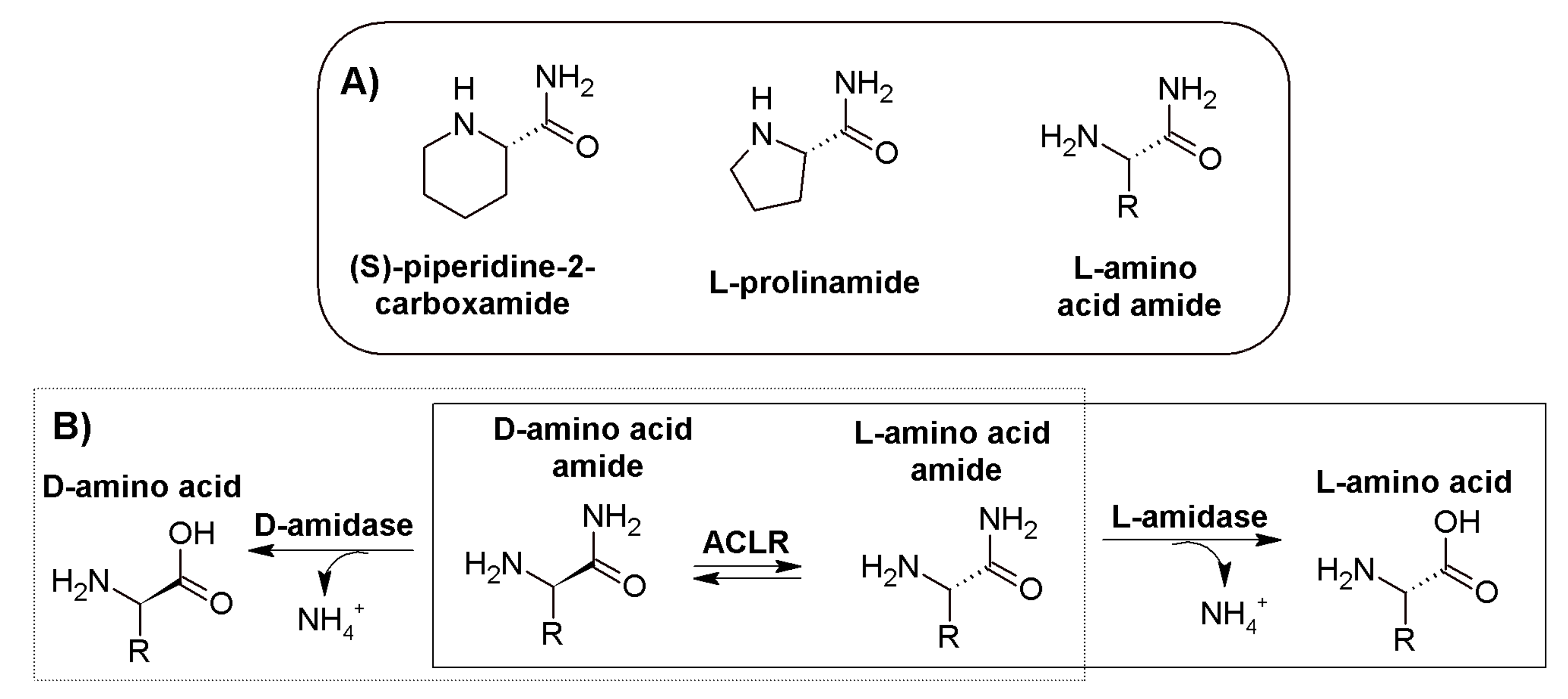 Crystals 12 00018 g001