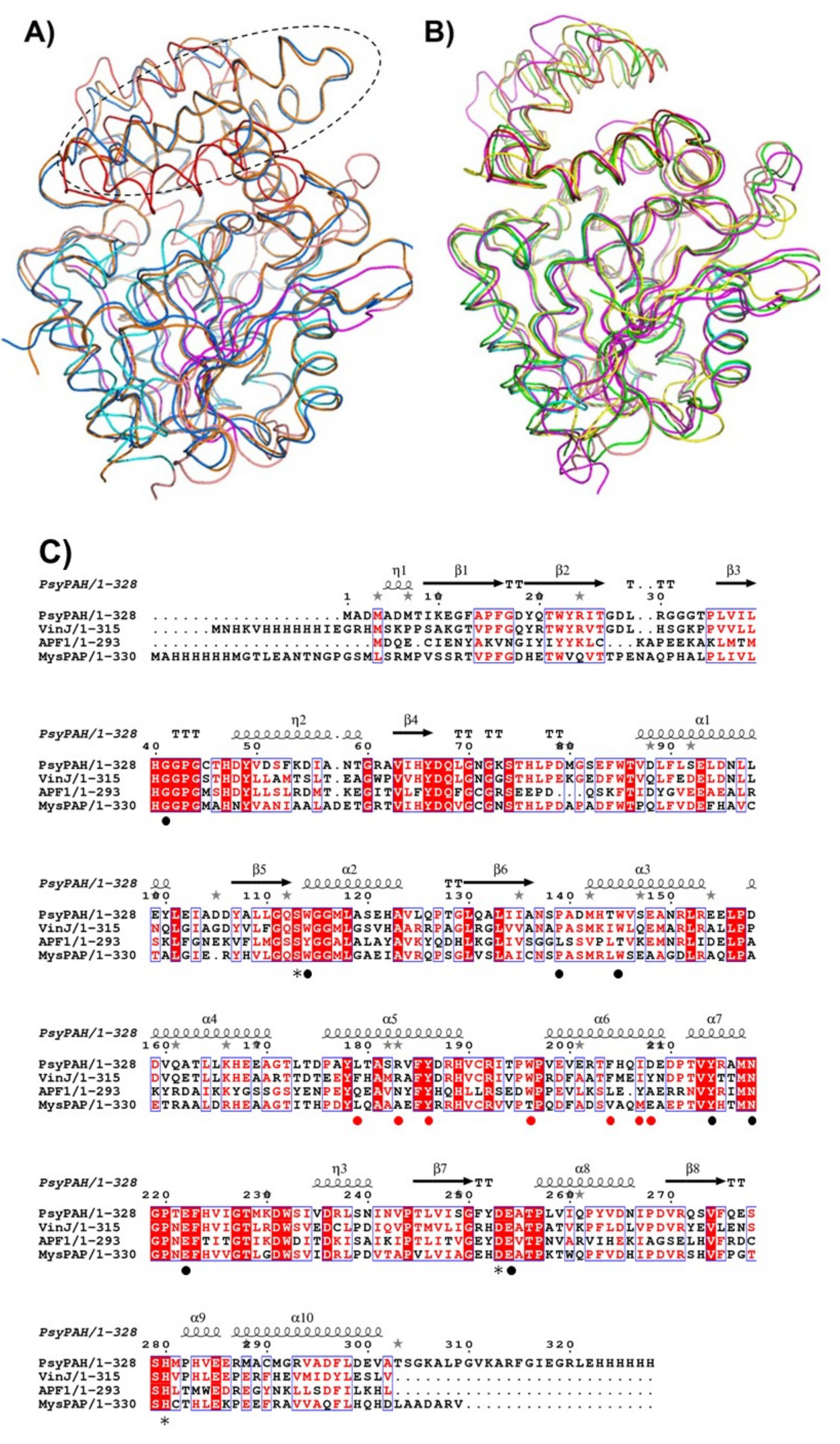 Crystals 12 00018 g004