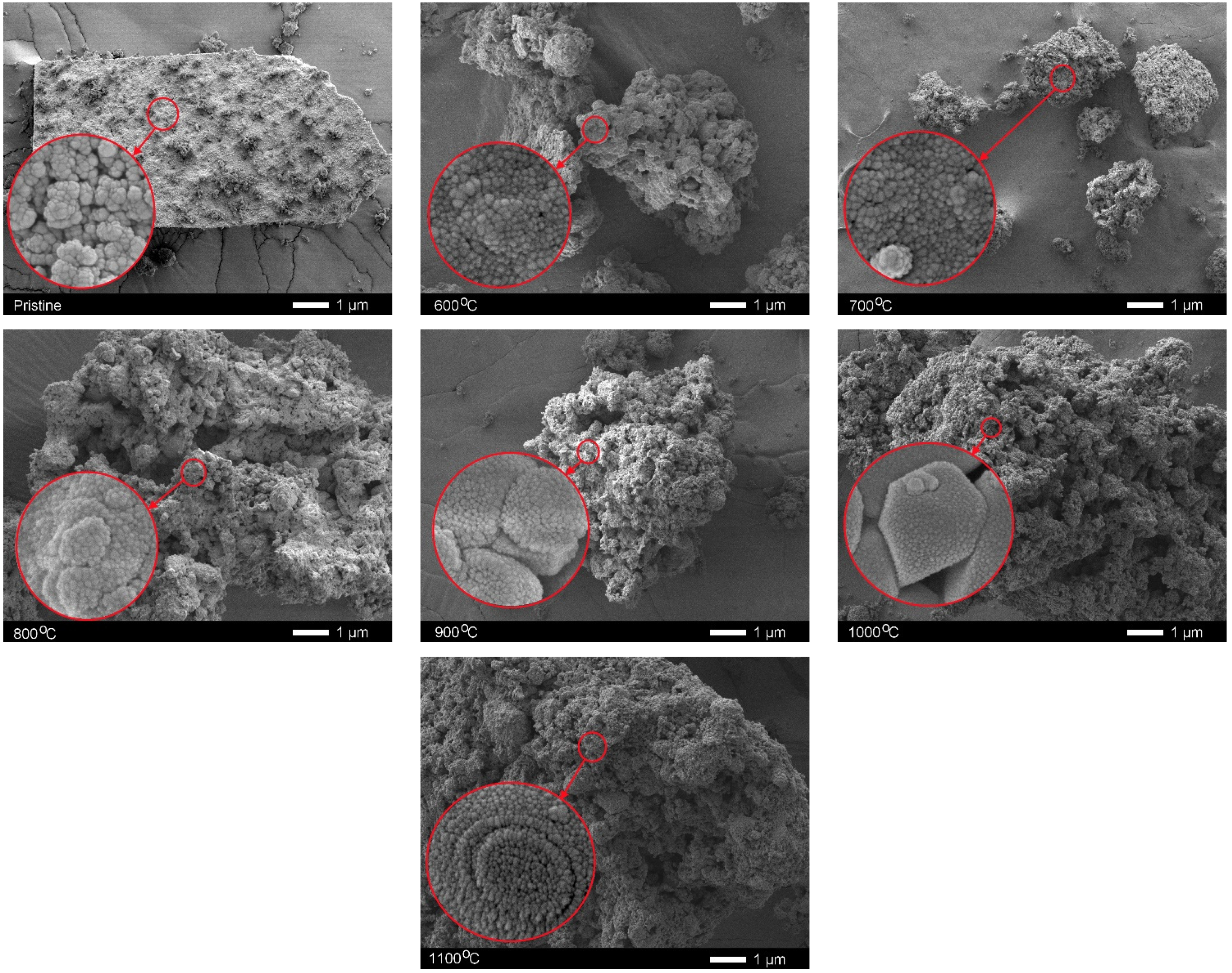 Crystals 12 00021 g001